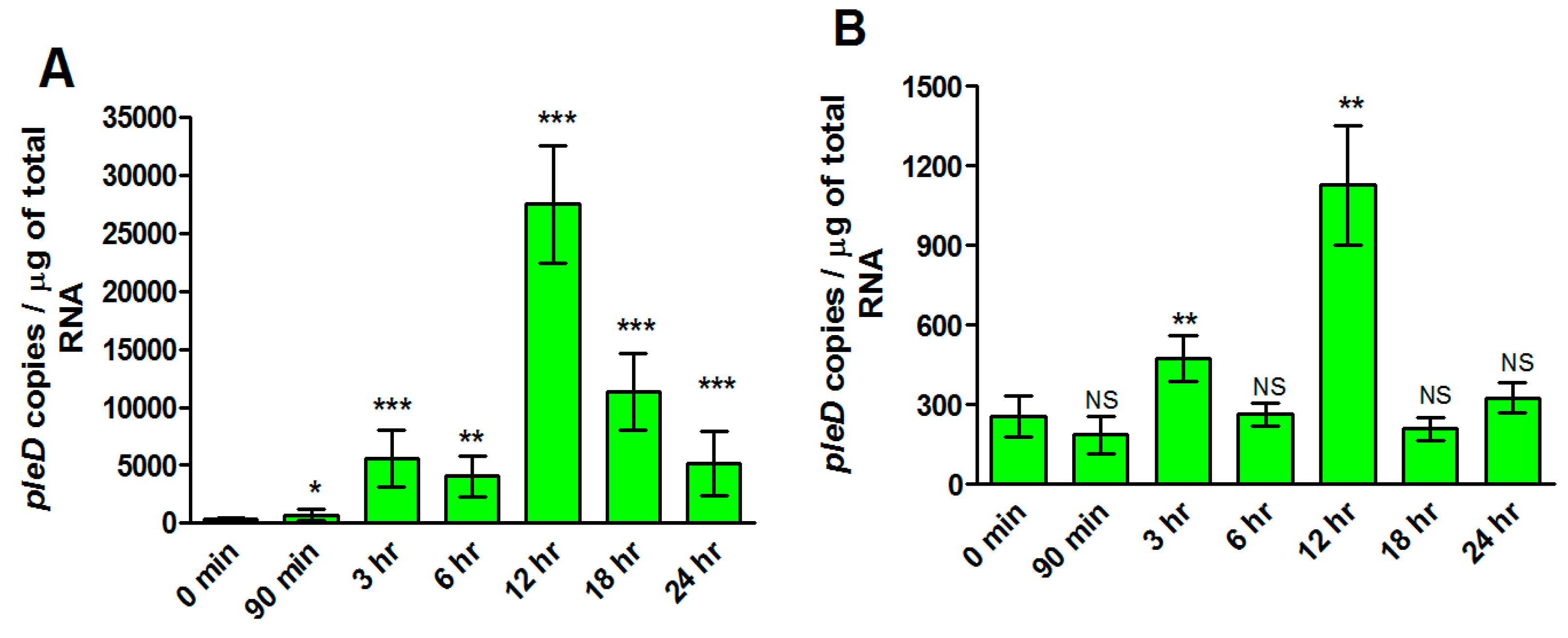 Ijms 23 03853 g005 550