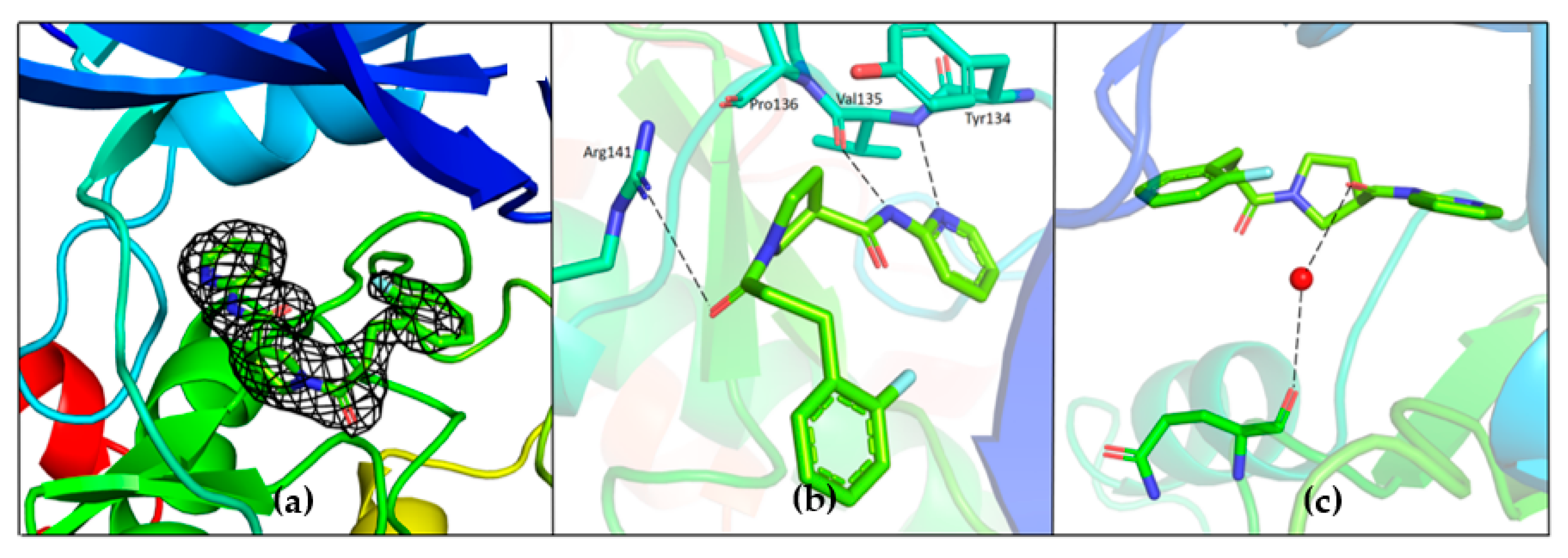 Ijms 23 03856 g008 550