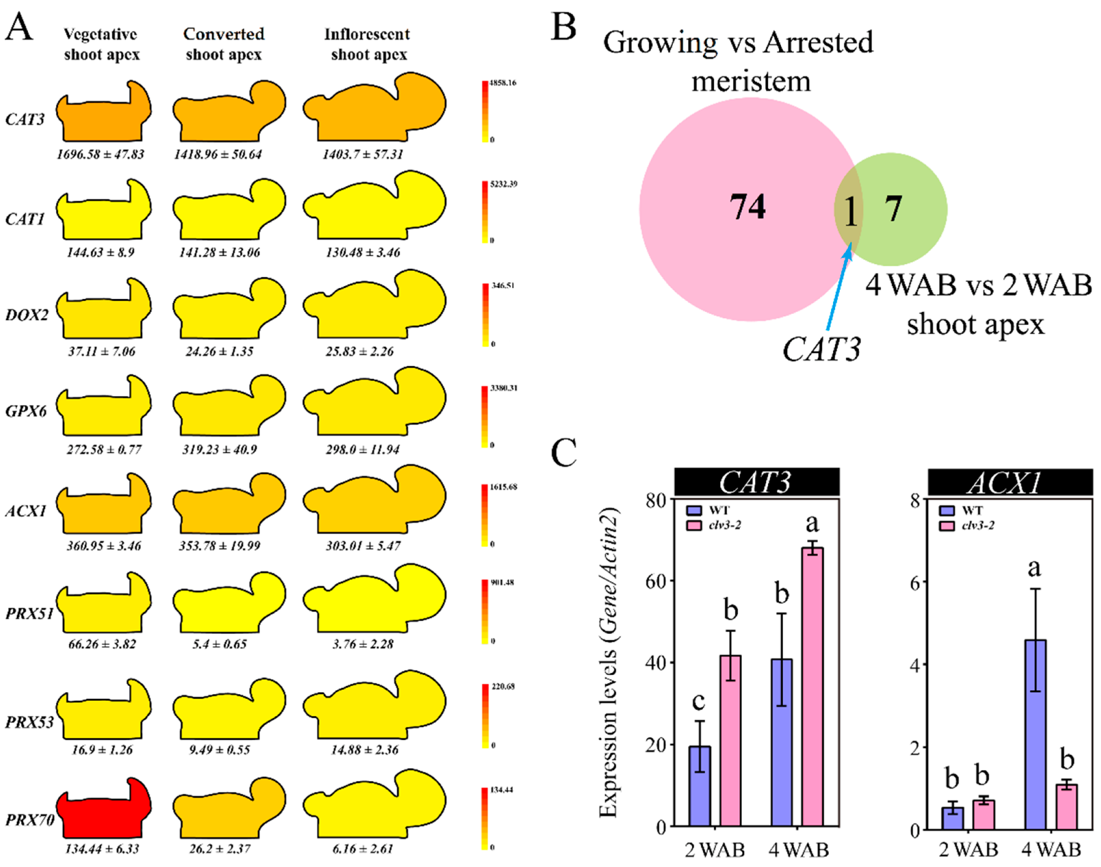 Ijms 23 03864 g010 550