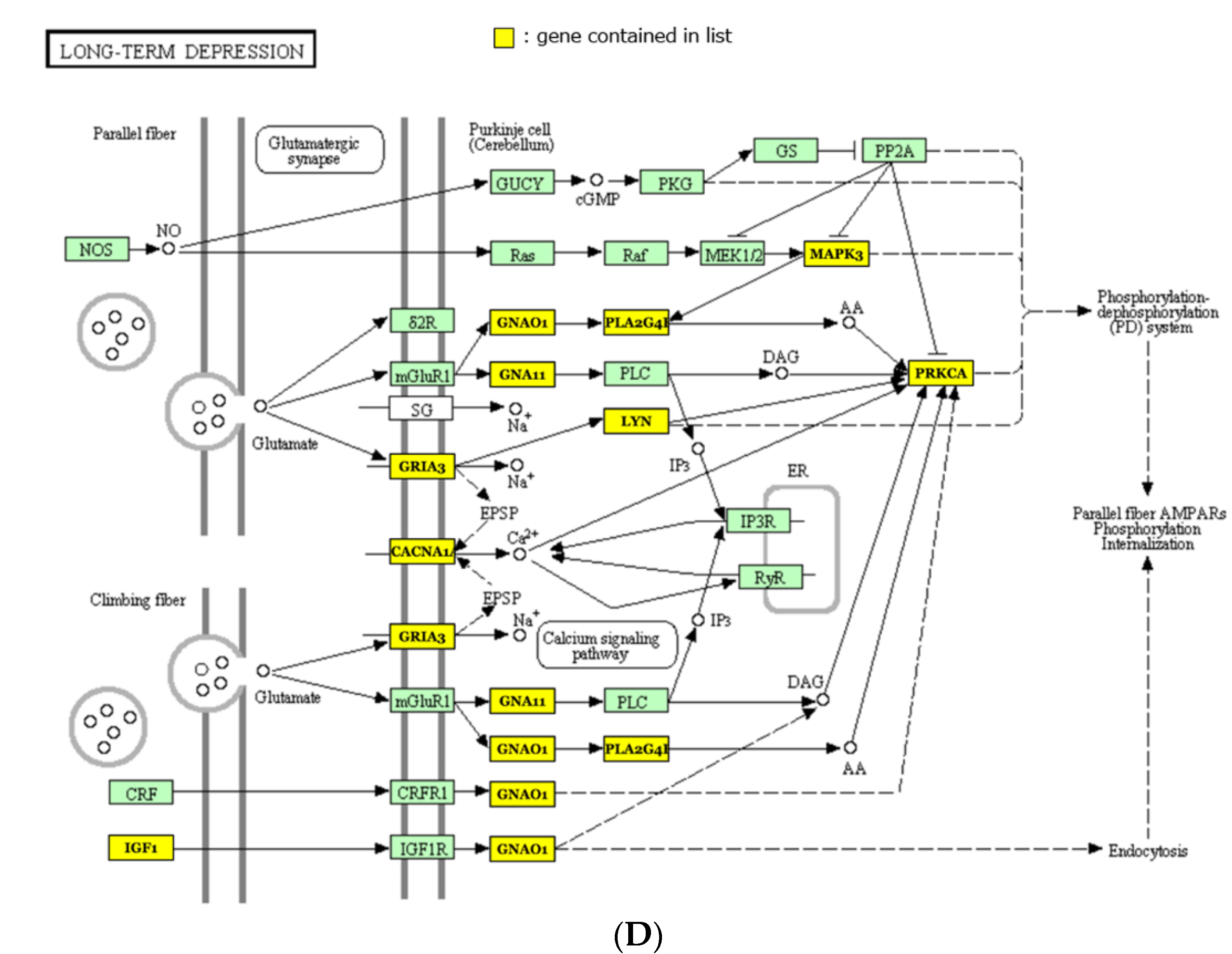 Ijms 23 03873 g002c Ijms 23 03873 g002c