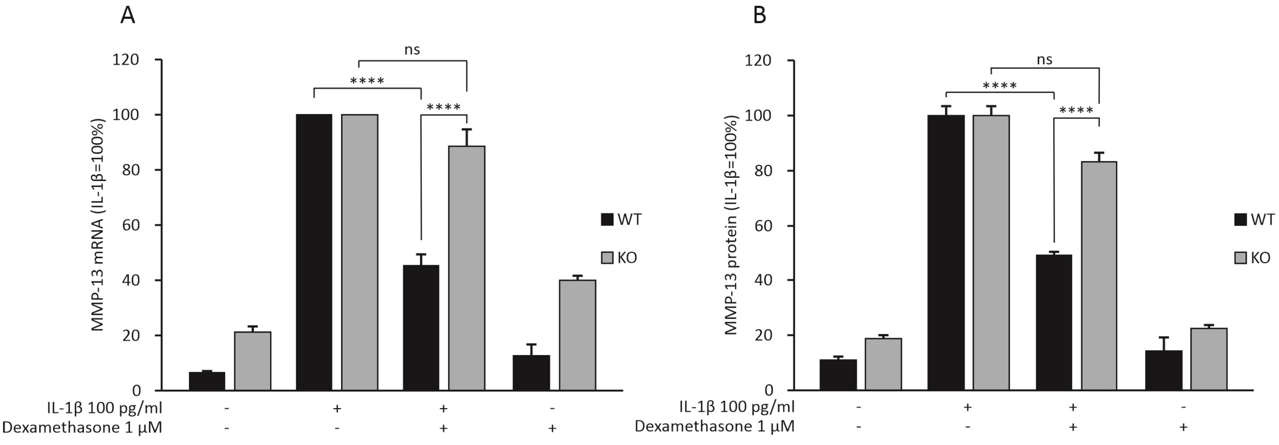 Ijms 23 03880 g001 Ijms 23 03880 g001