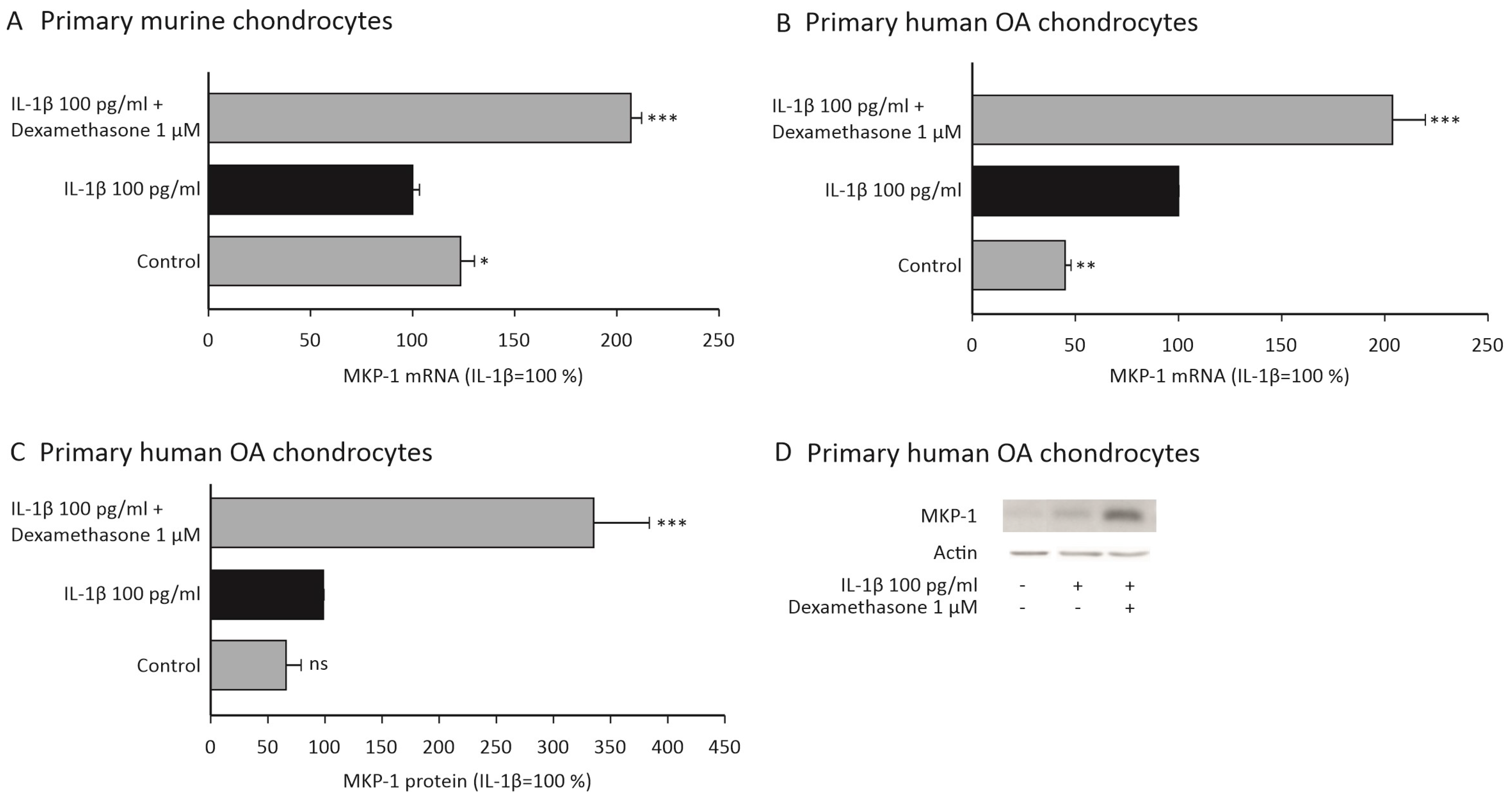 Ijms 23 03880 g002 Ijms 23 03880 g002