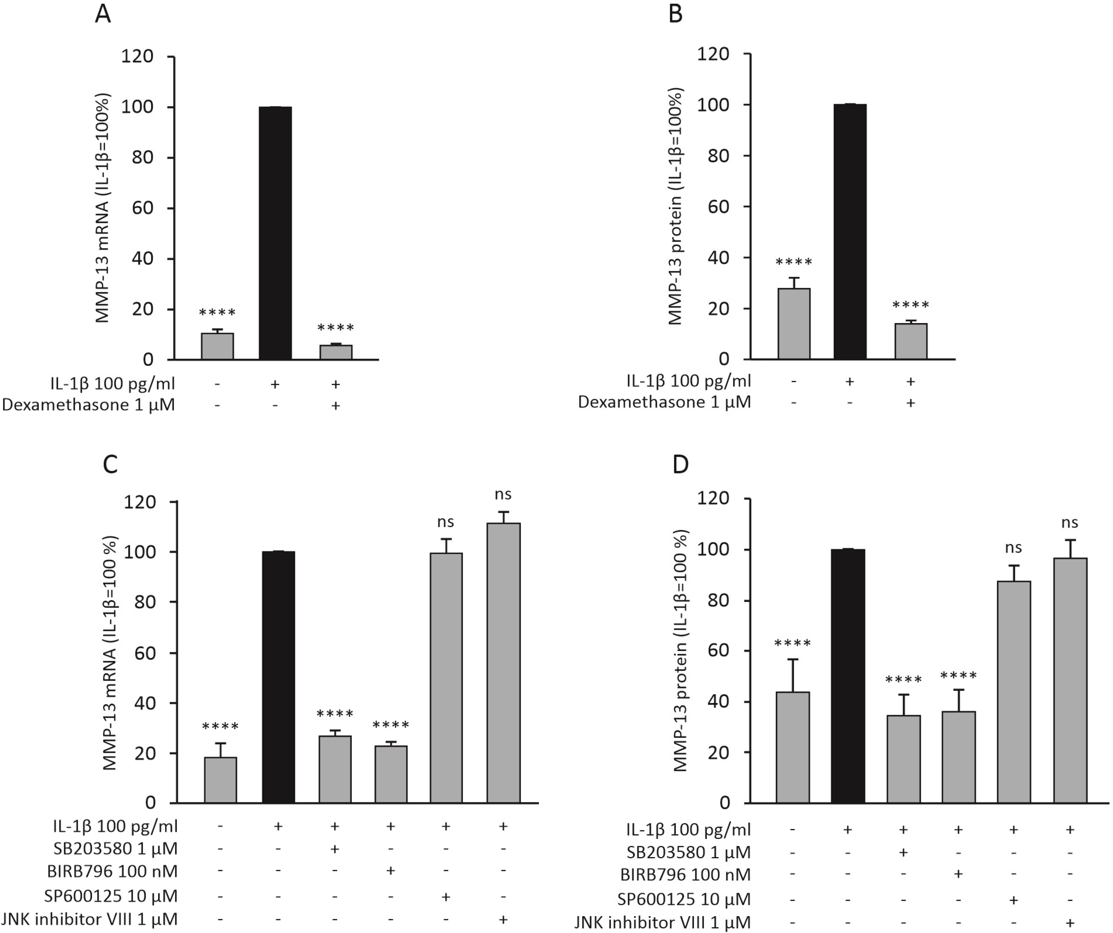 Ijms 23 03880 g003 Ijms 23 03880 g003