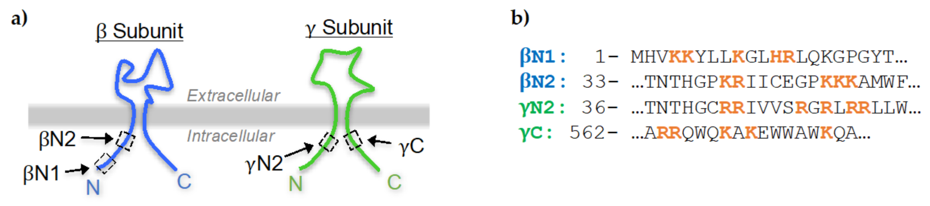 Ijms 23 03884 g001 550