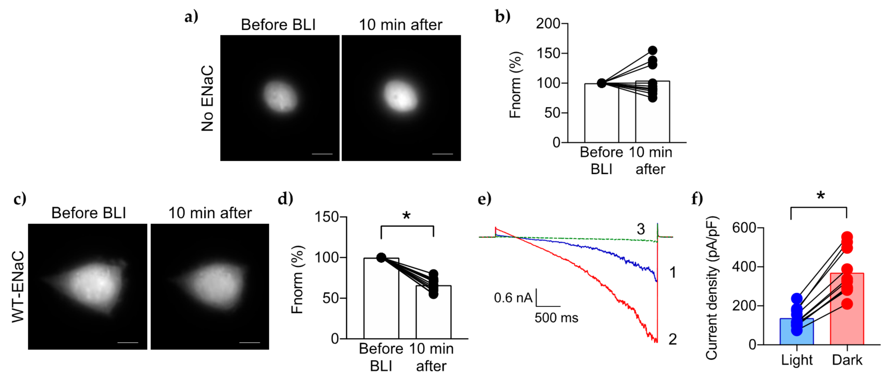Ijms 23 03884 g002 550