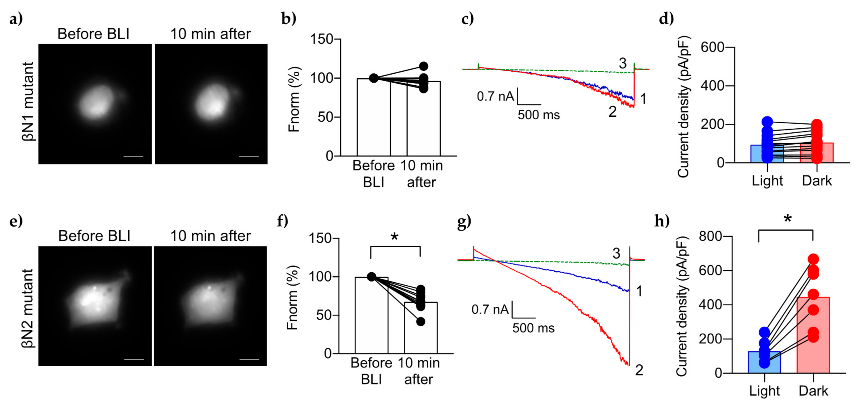 Ijms 23 03884 g004 550