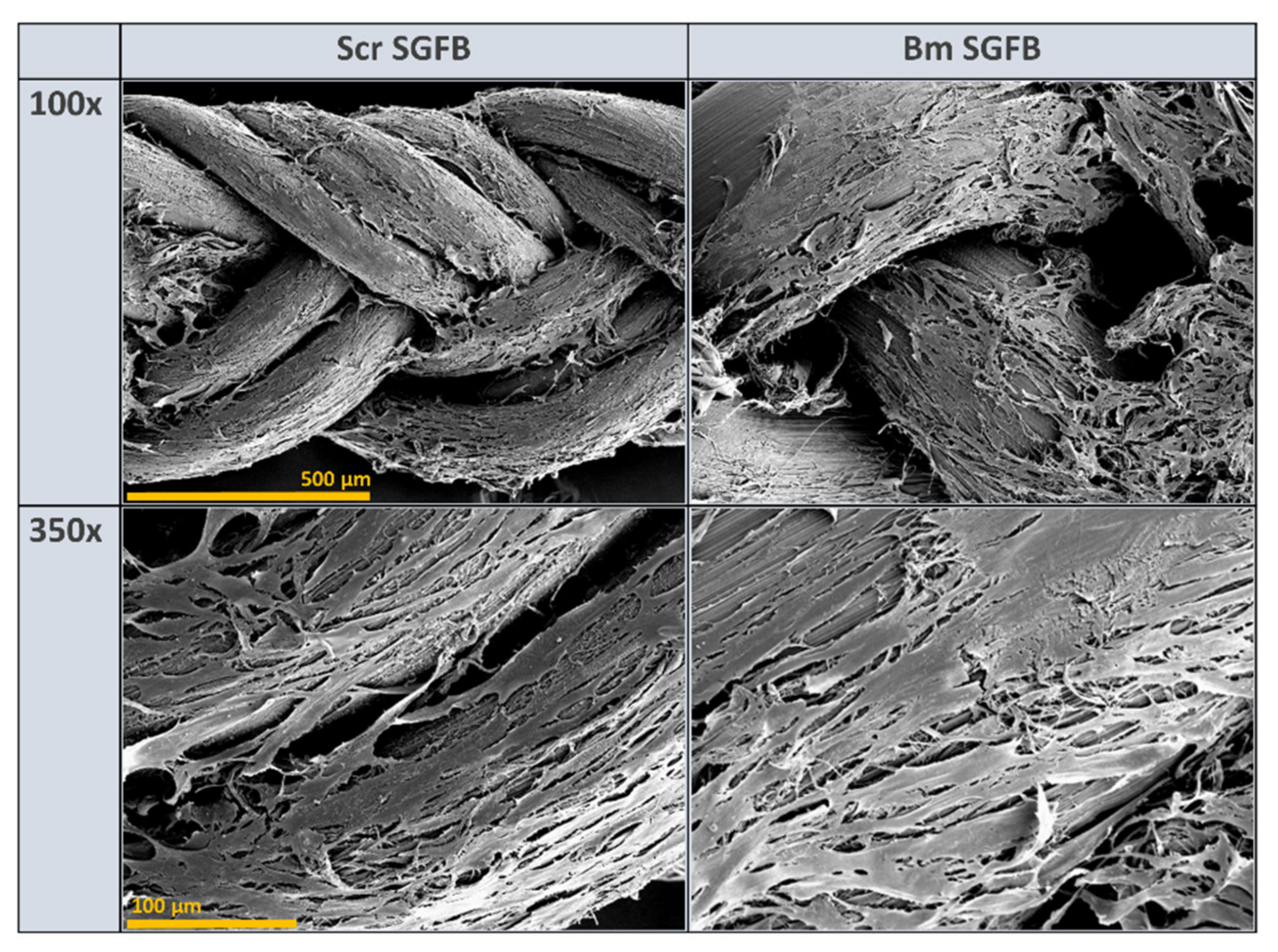 Ijms 23 03888 g006 550