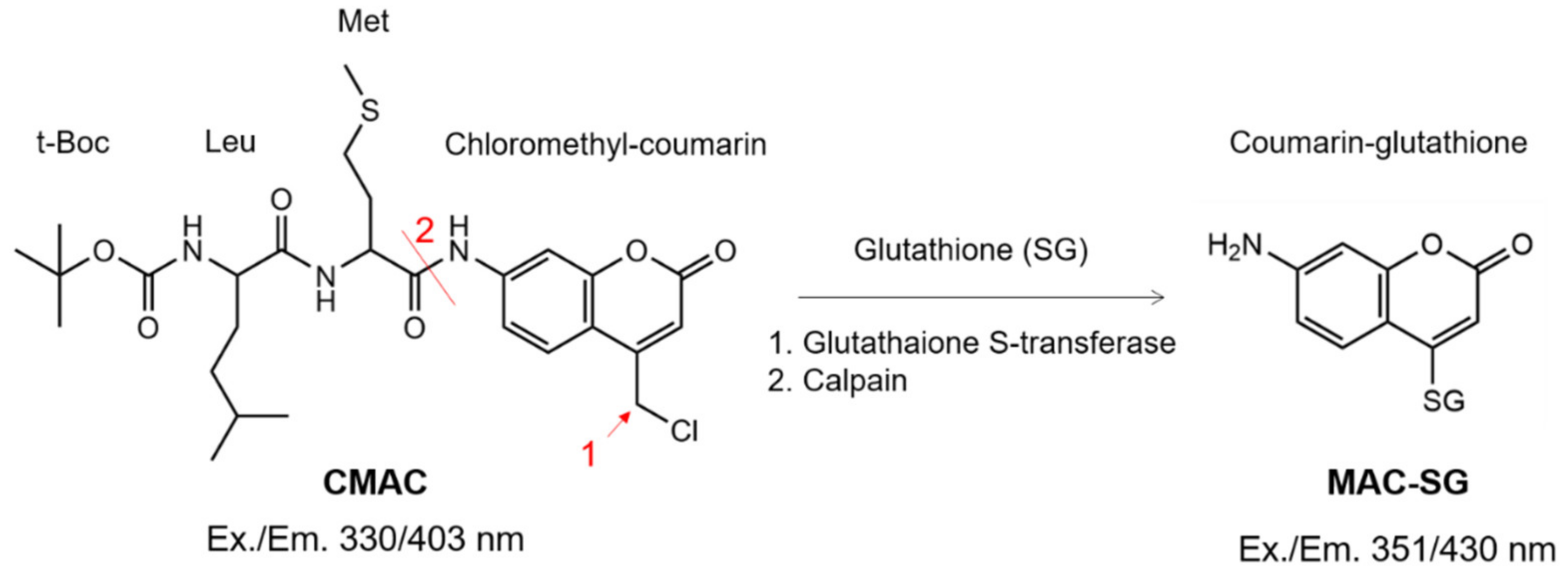 Ijms 23 03892 g001 550