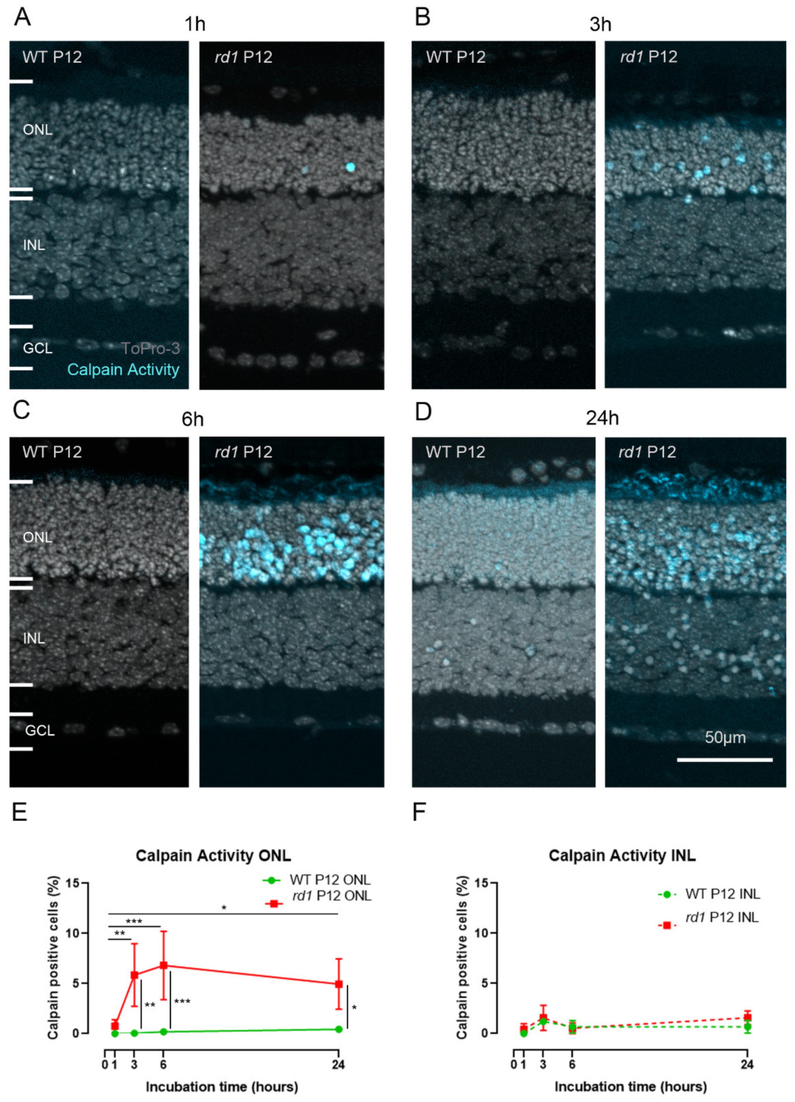 Ijms 23 03892 g002 550