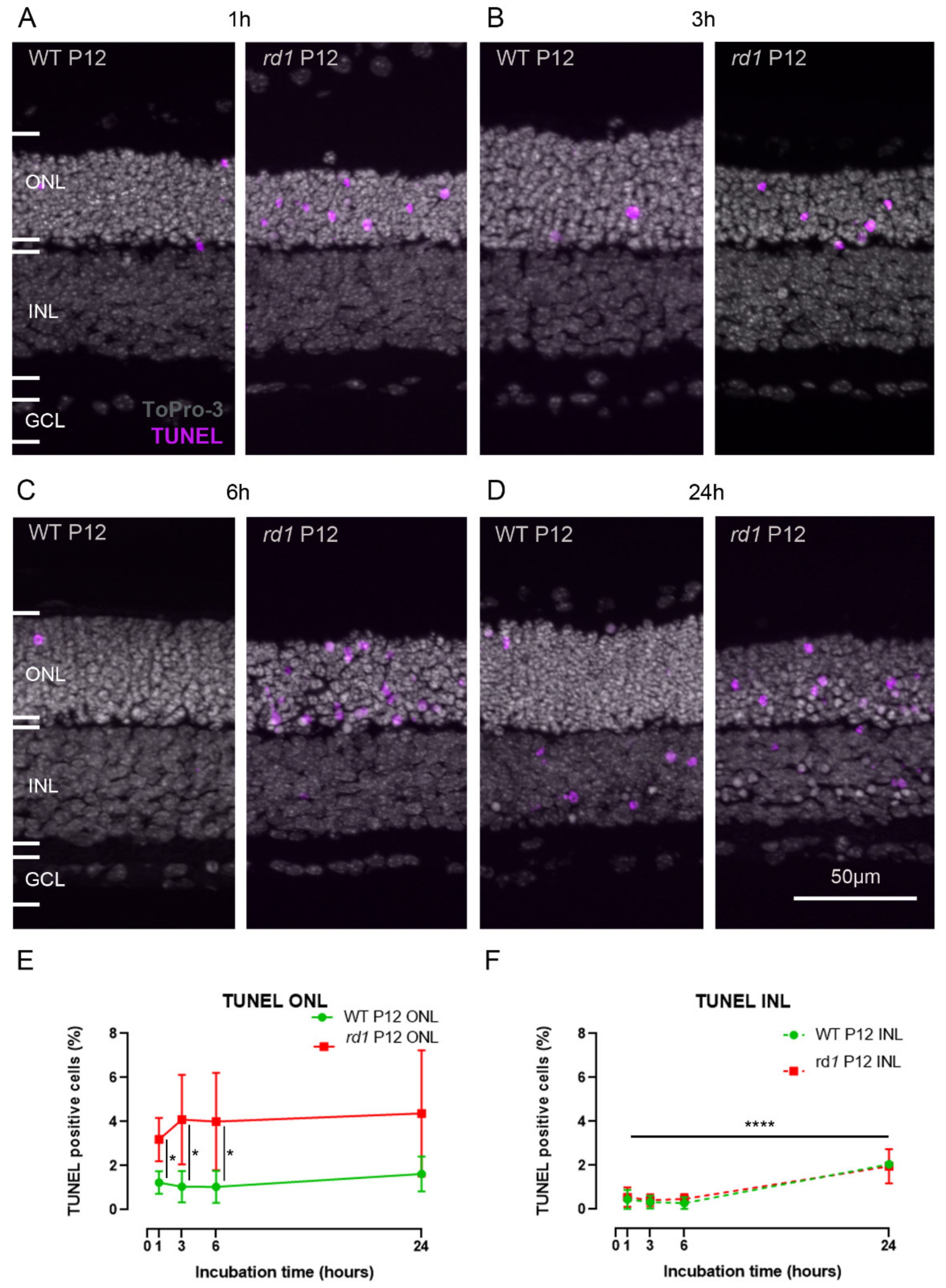 Ijms 23 03892 g003 550