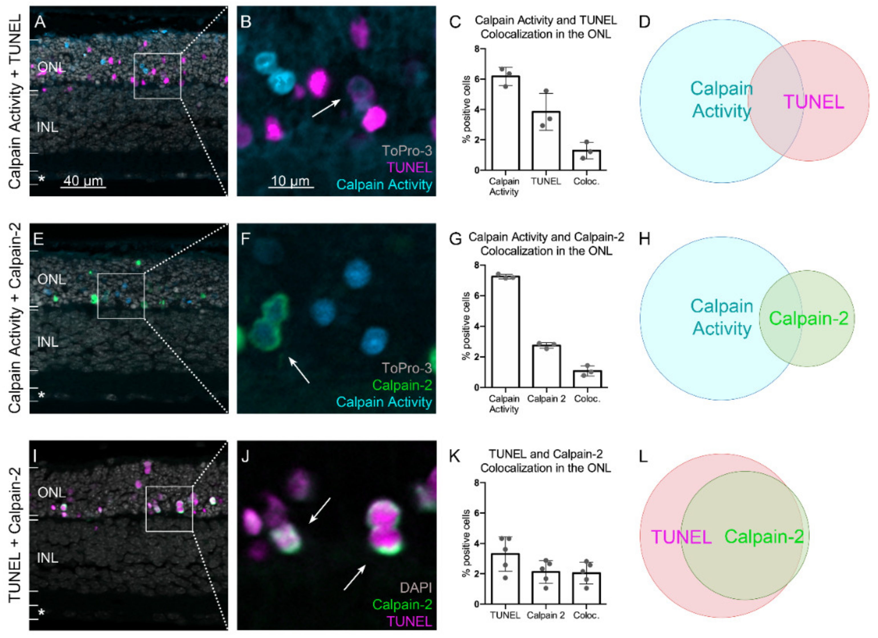 Ijms 23 03892 g004 550