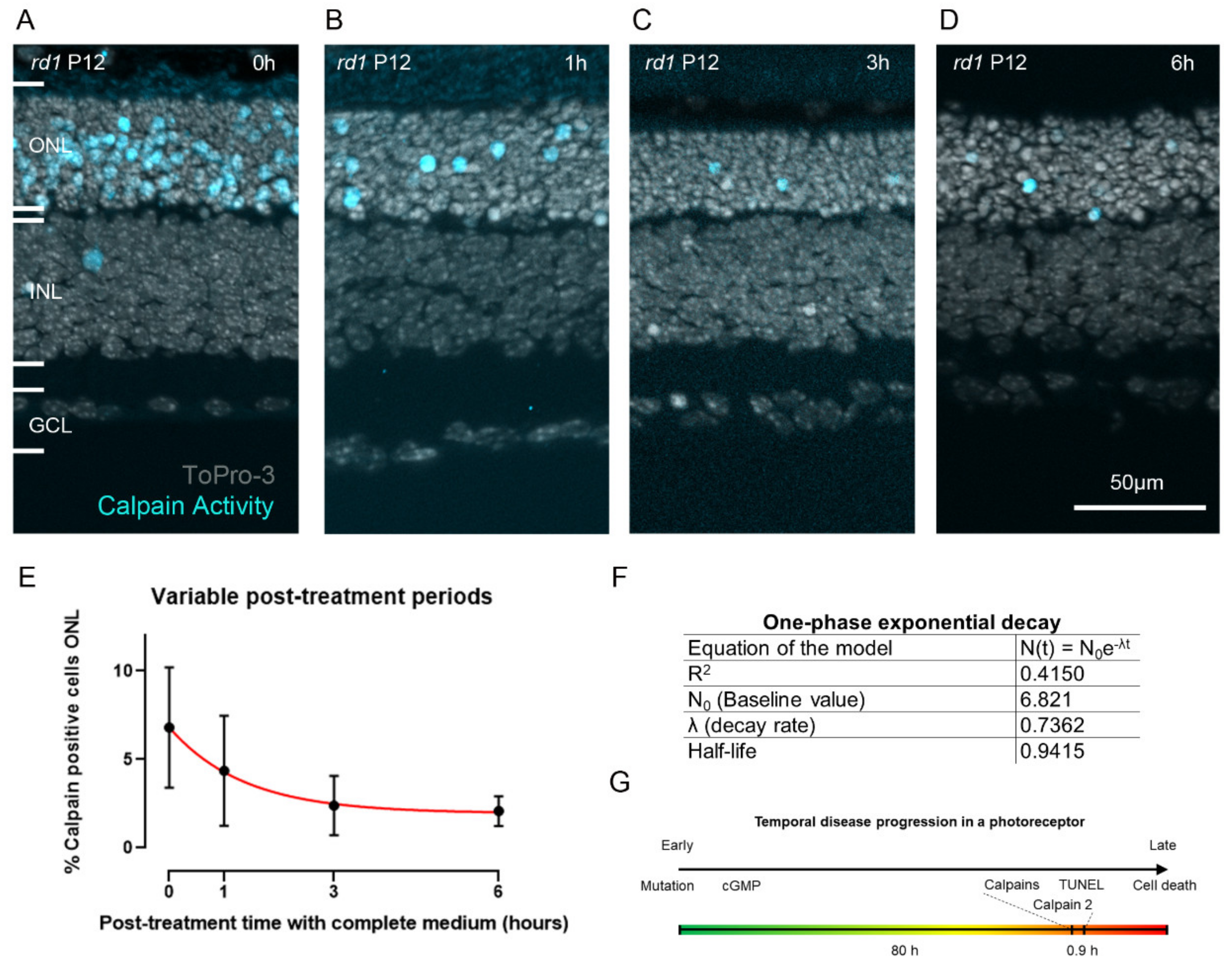 Ijms 23 03892 g005 550