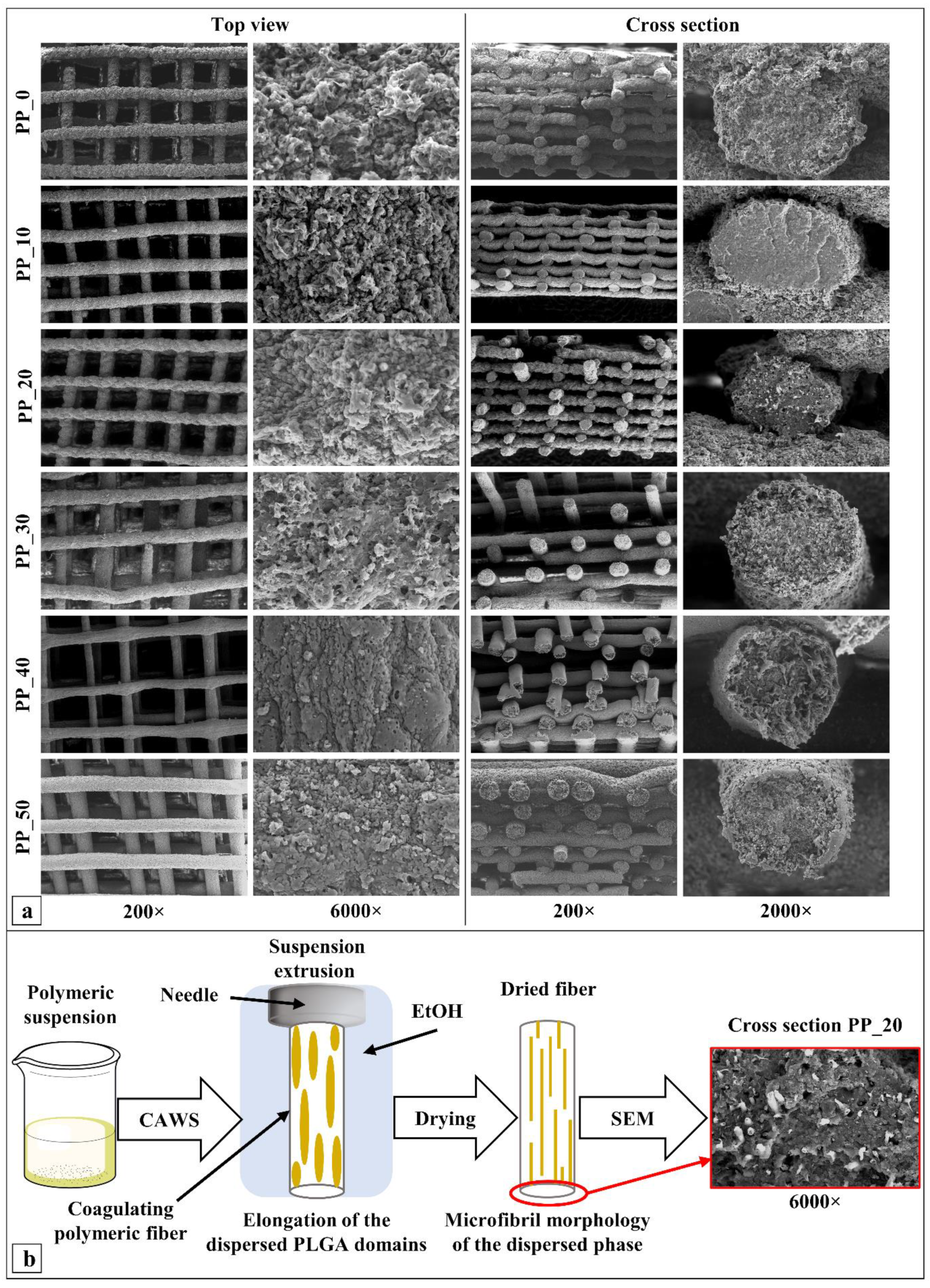 Ijms 23 03895 g003 550