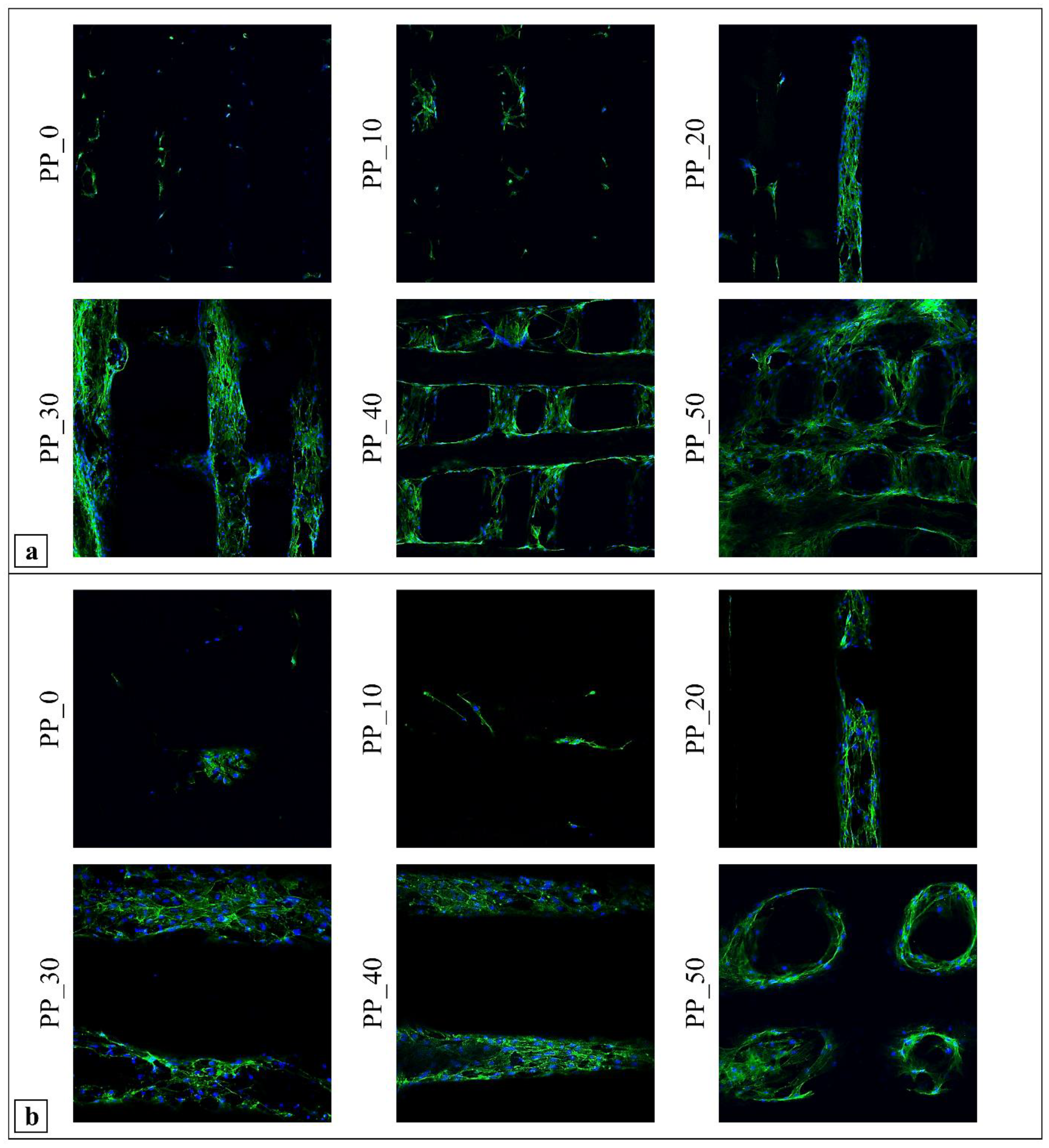 Ijms 23 03895 g009 550