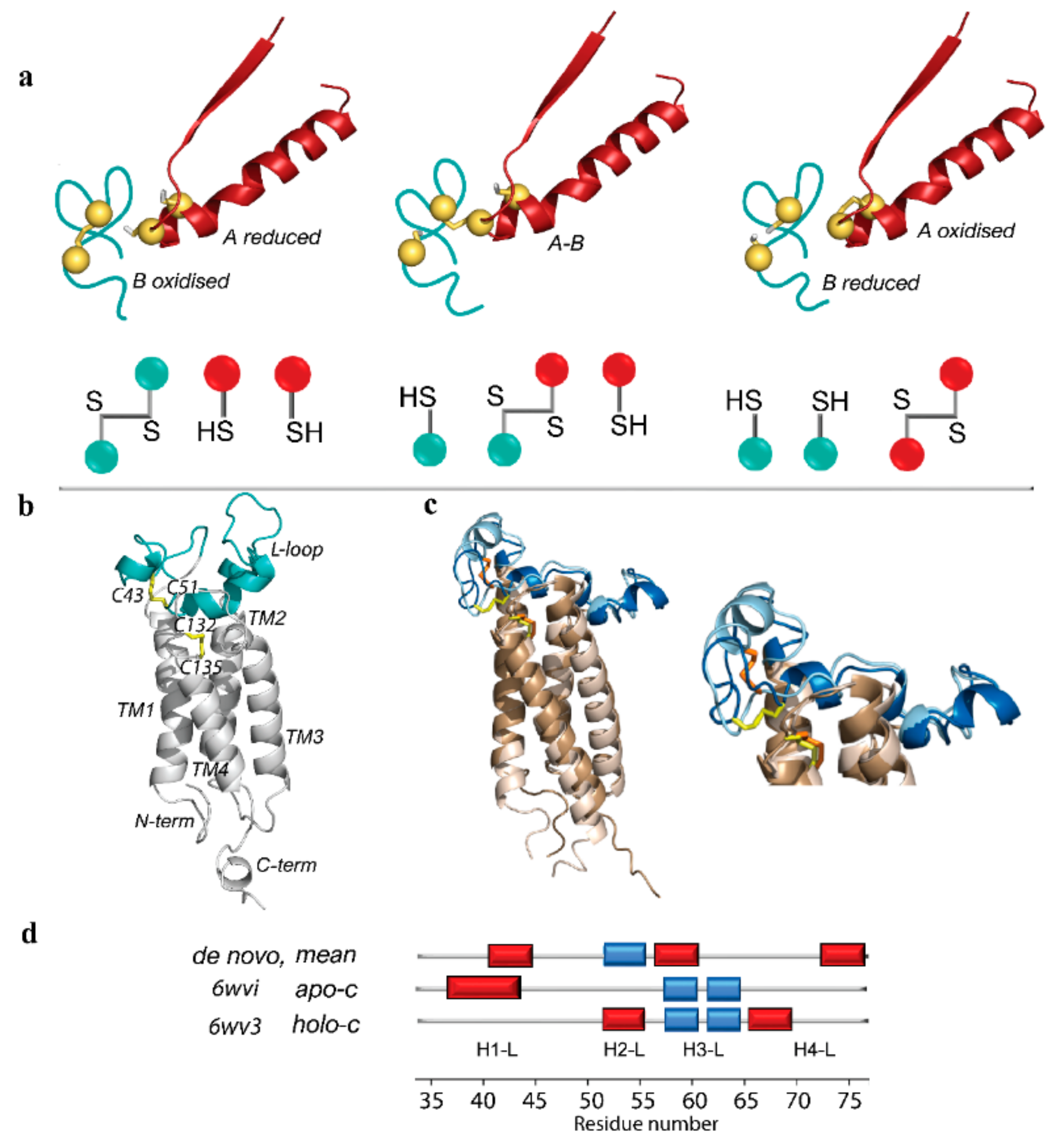 IJMS Free FullText Human Vitamin K Epoxide Reductase as a Target