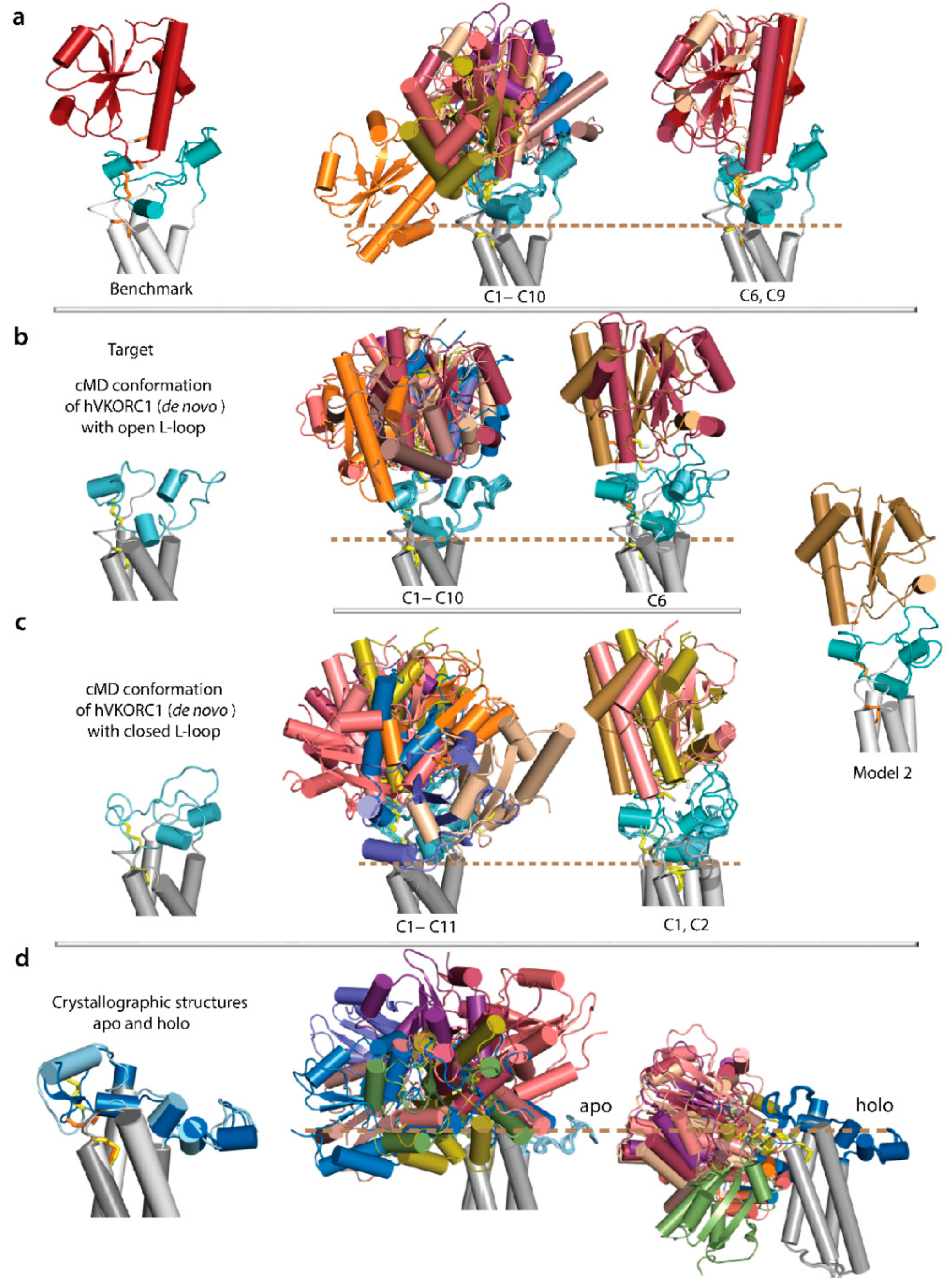 Ijms 23 03899 g010 550