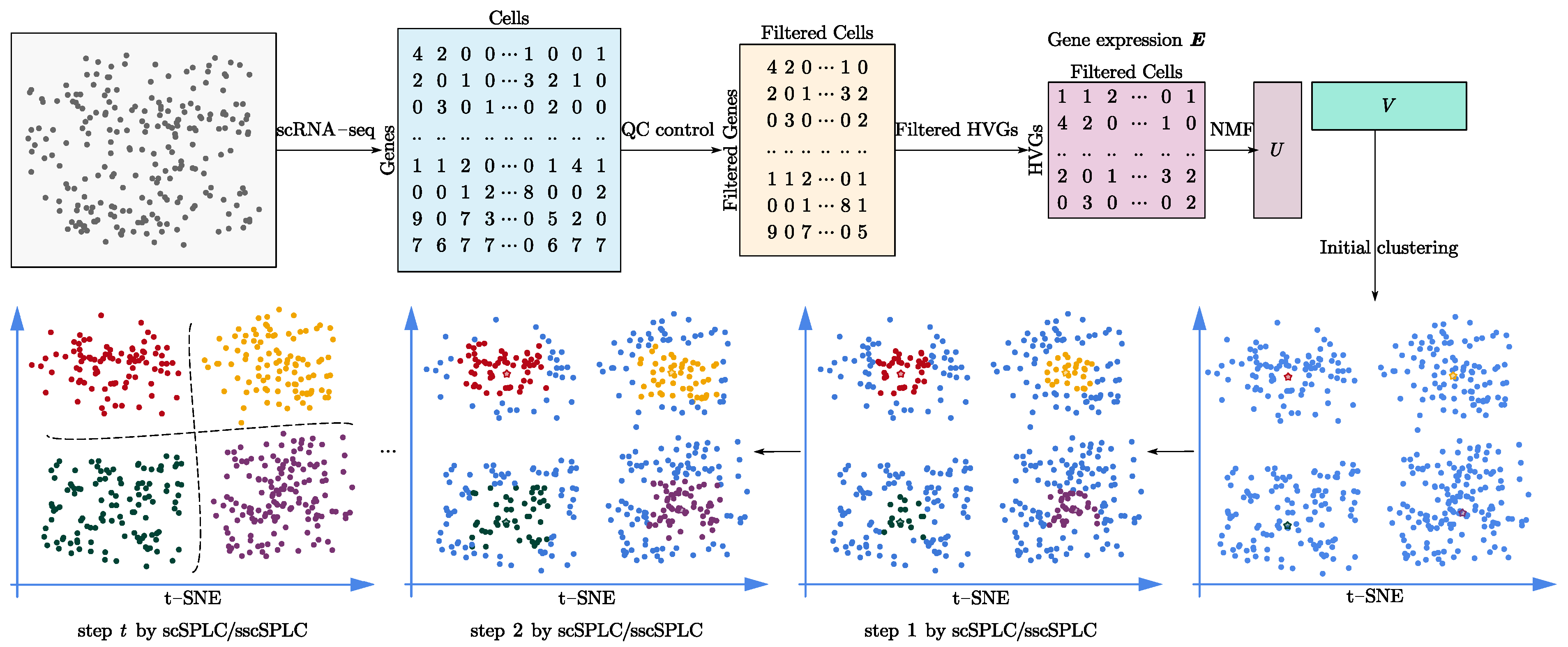 Ijms 23 03900 g001 550