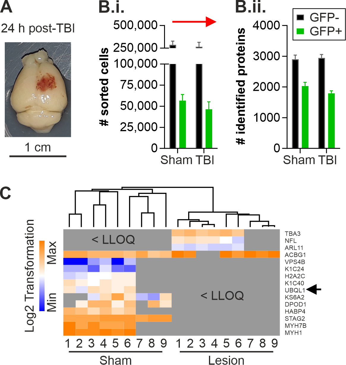Ijms 23 03902 g001 550