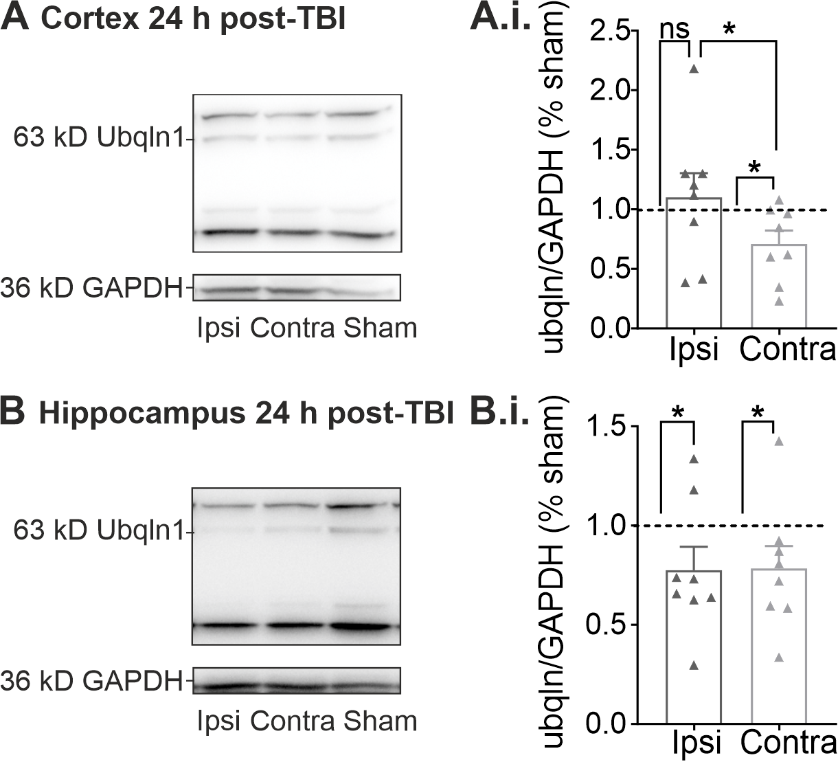 Ijms 23 03902 g002 550