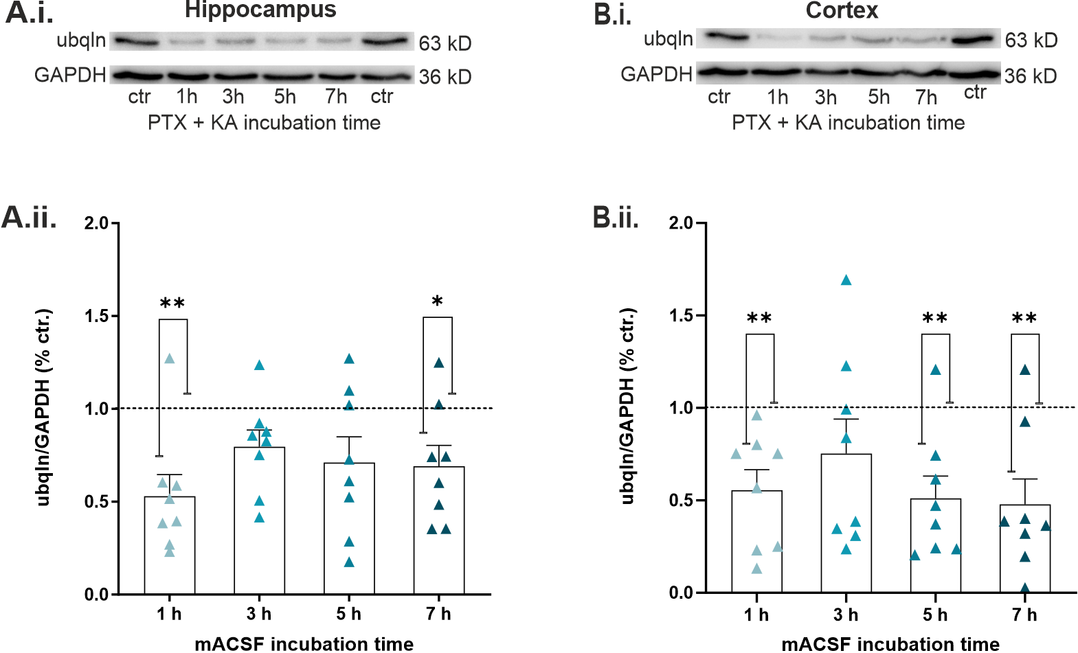 Ijms 23 03902 g004 550
