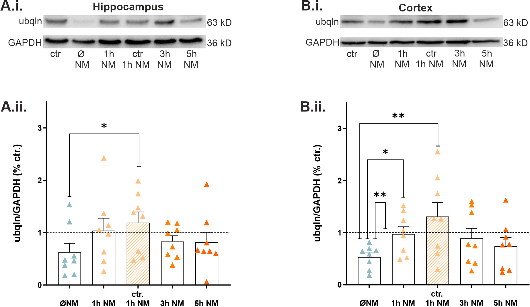 Ijms 23 03902 g005 550