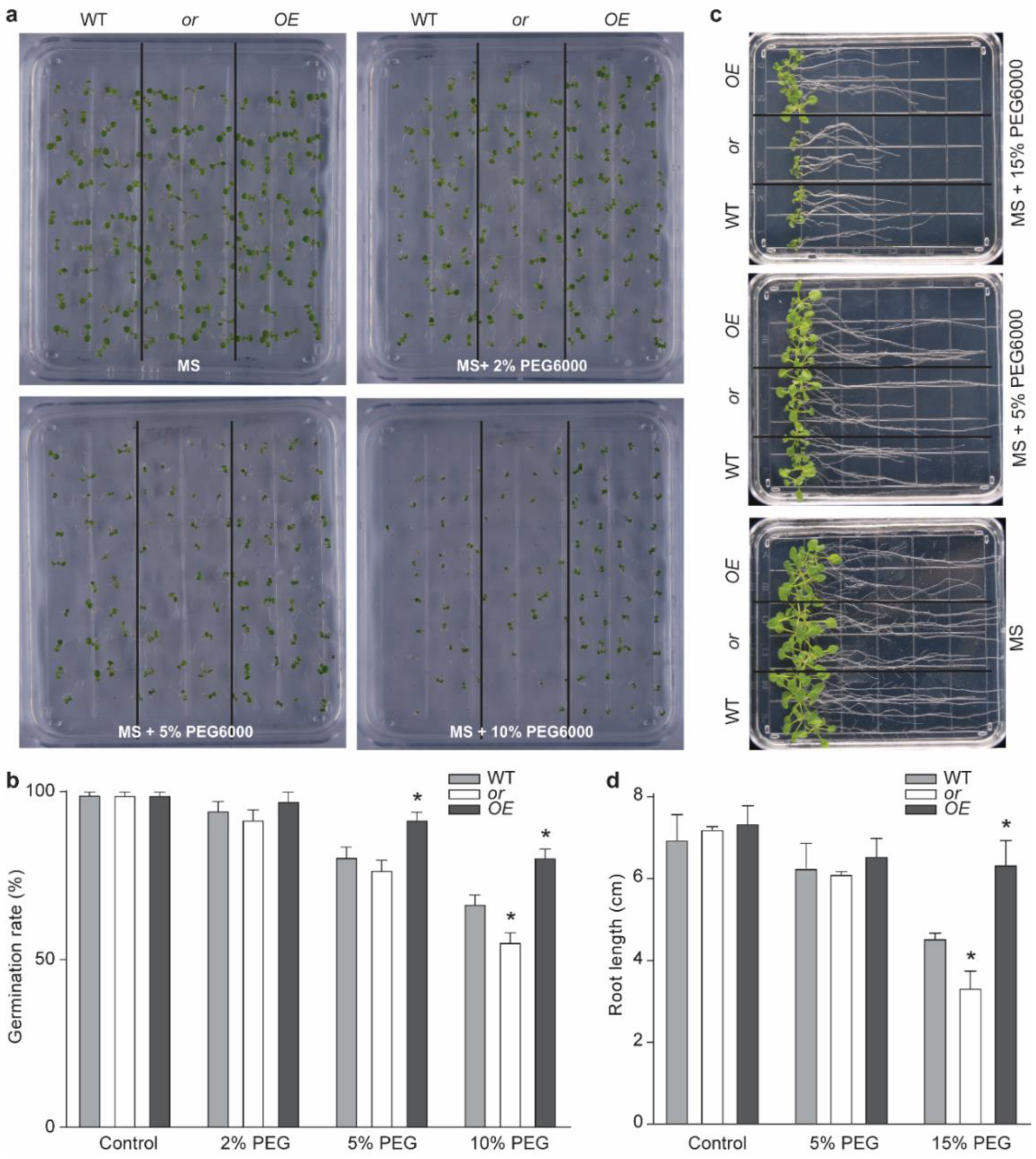 Ijms 23 03907 g002 550