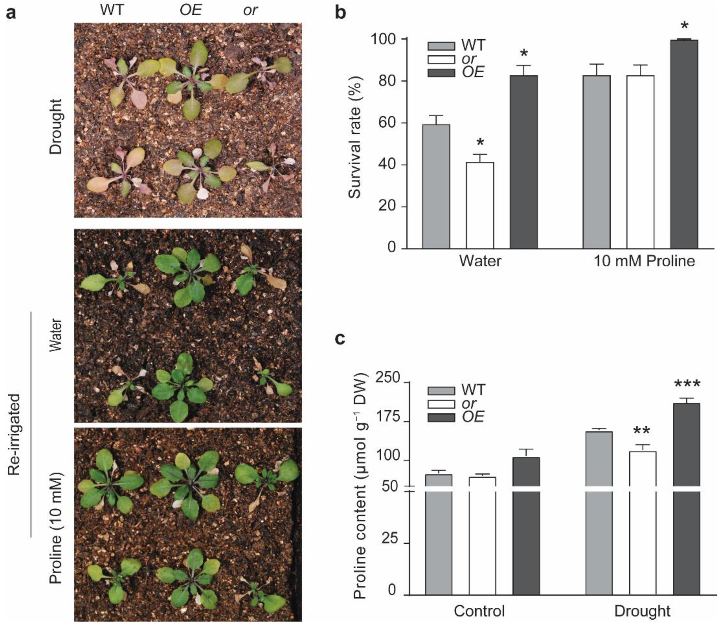 Ijms 23 03907 g005 550