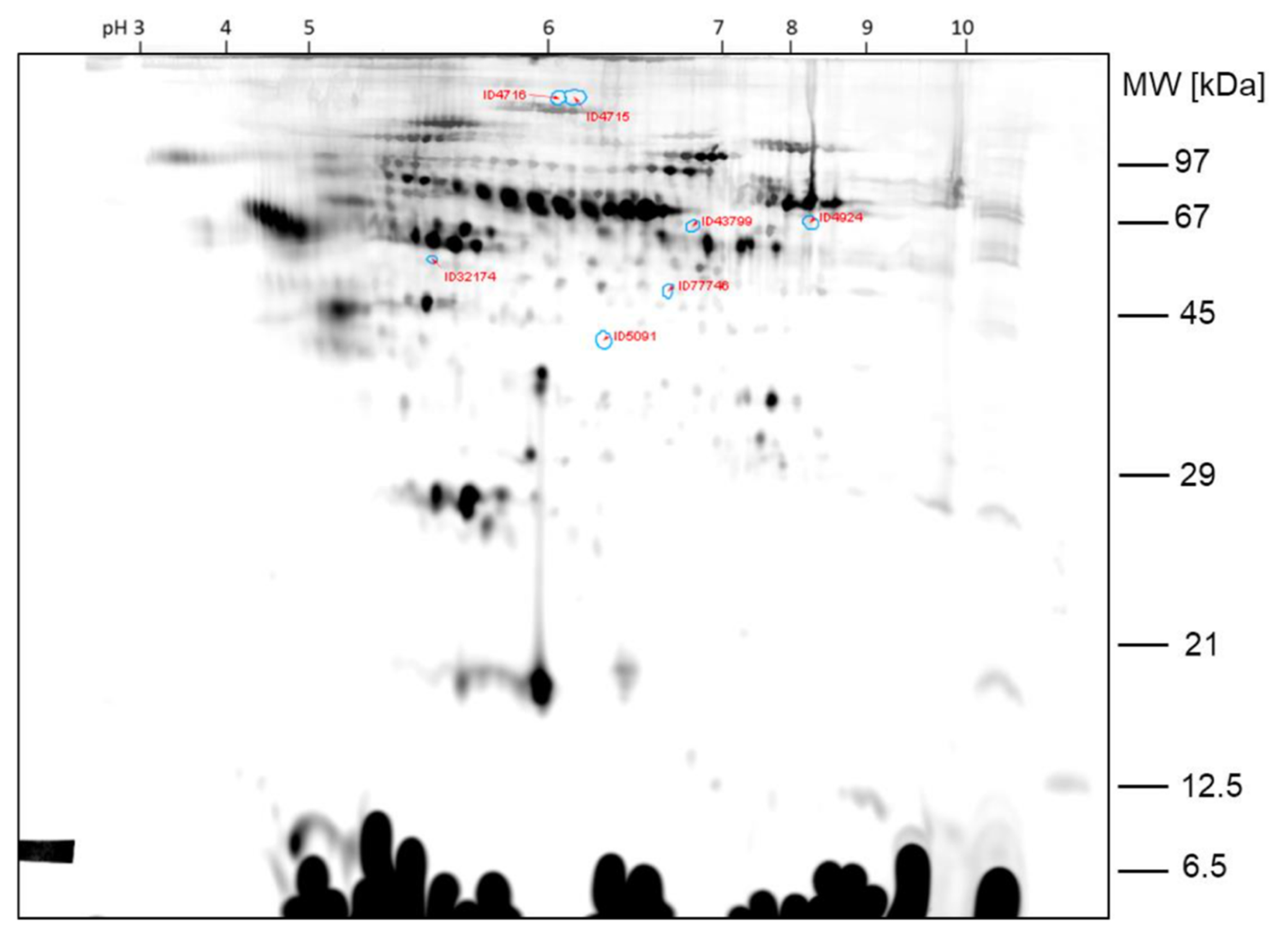 Ijms 23 03909 g002 550