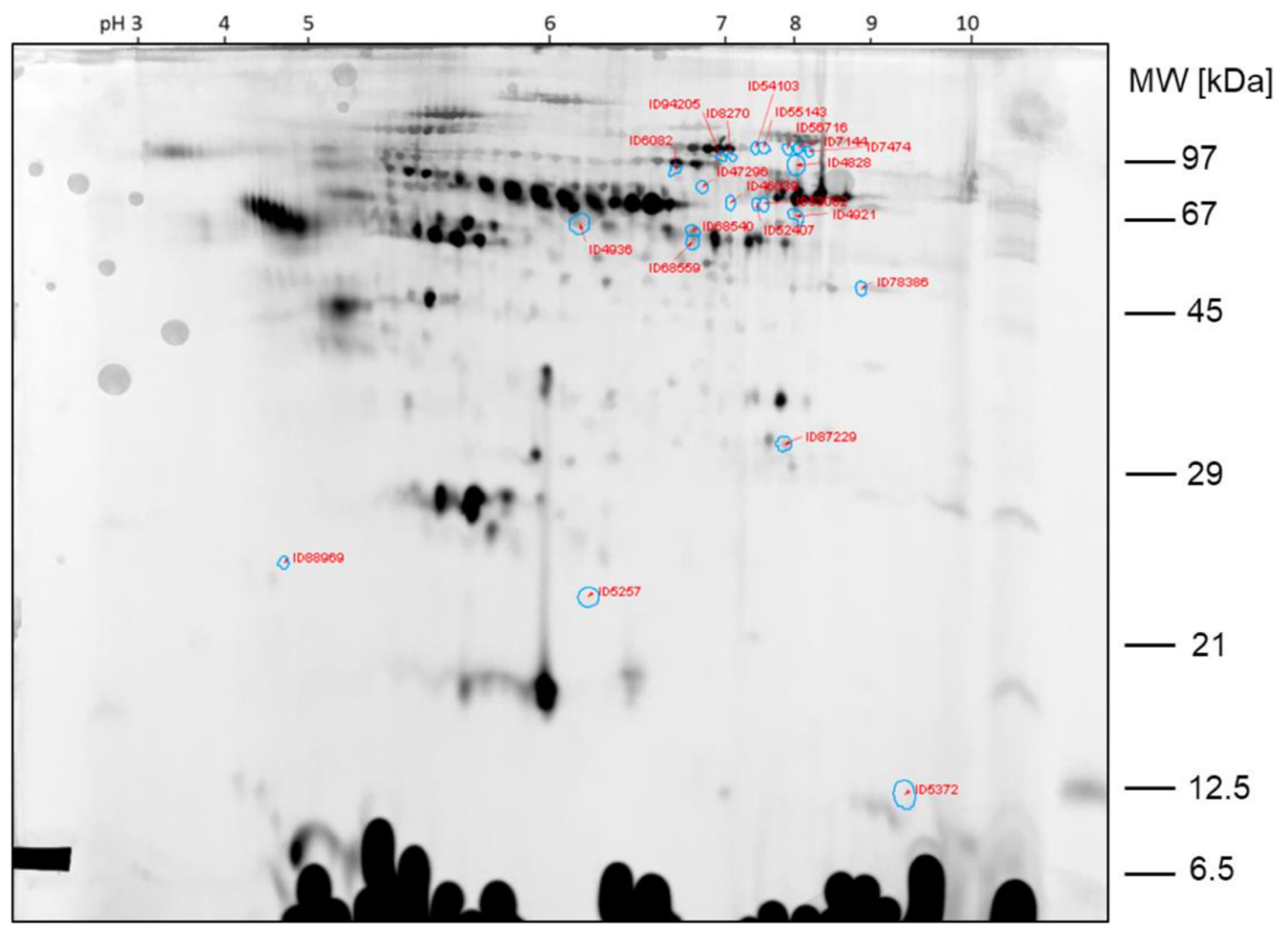 Ijms 23 03909 g003 550