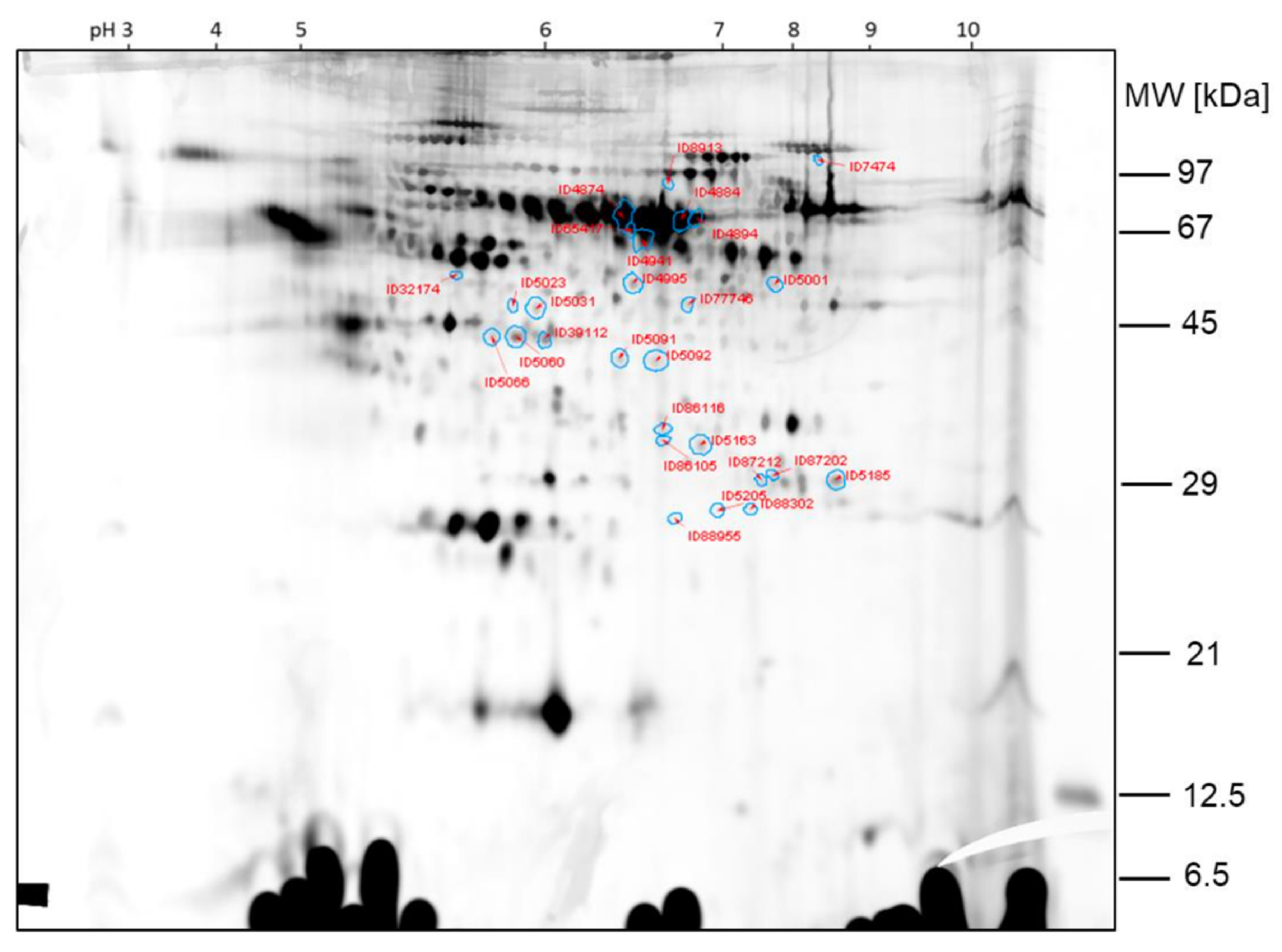 Ijms 23 03909 g006 550