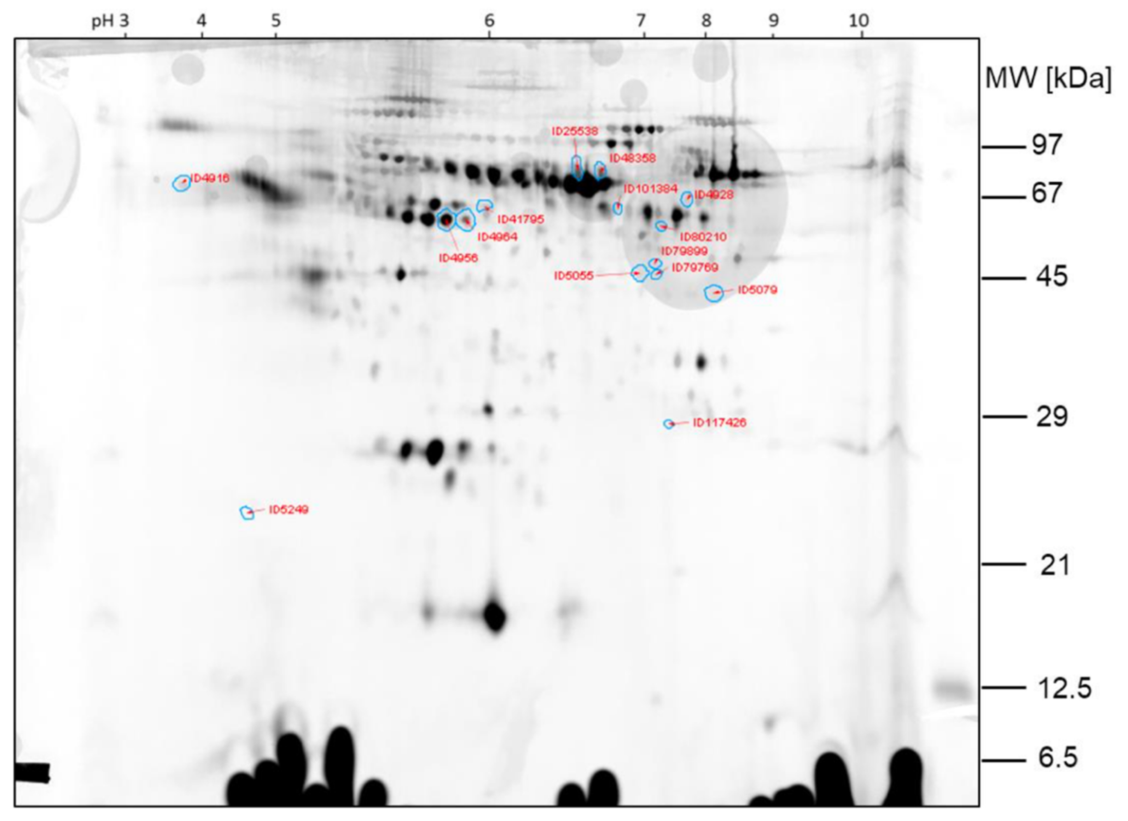 Ijms 23 03909 g007 550