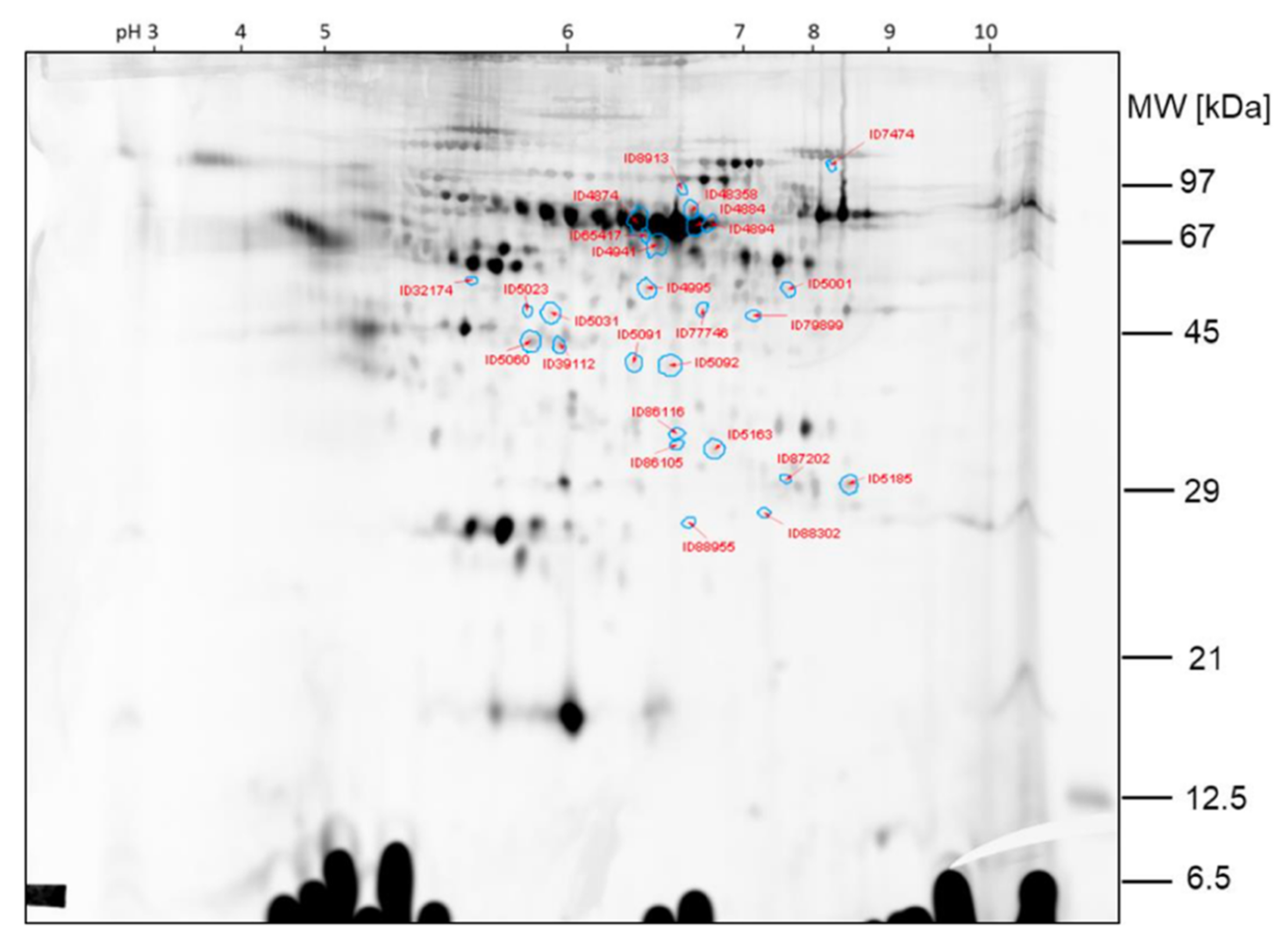 Ijms 23 03909 g013 550