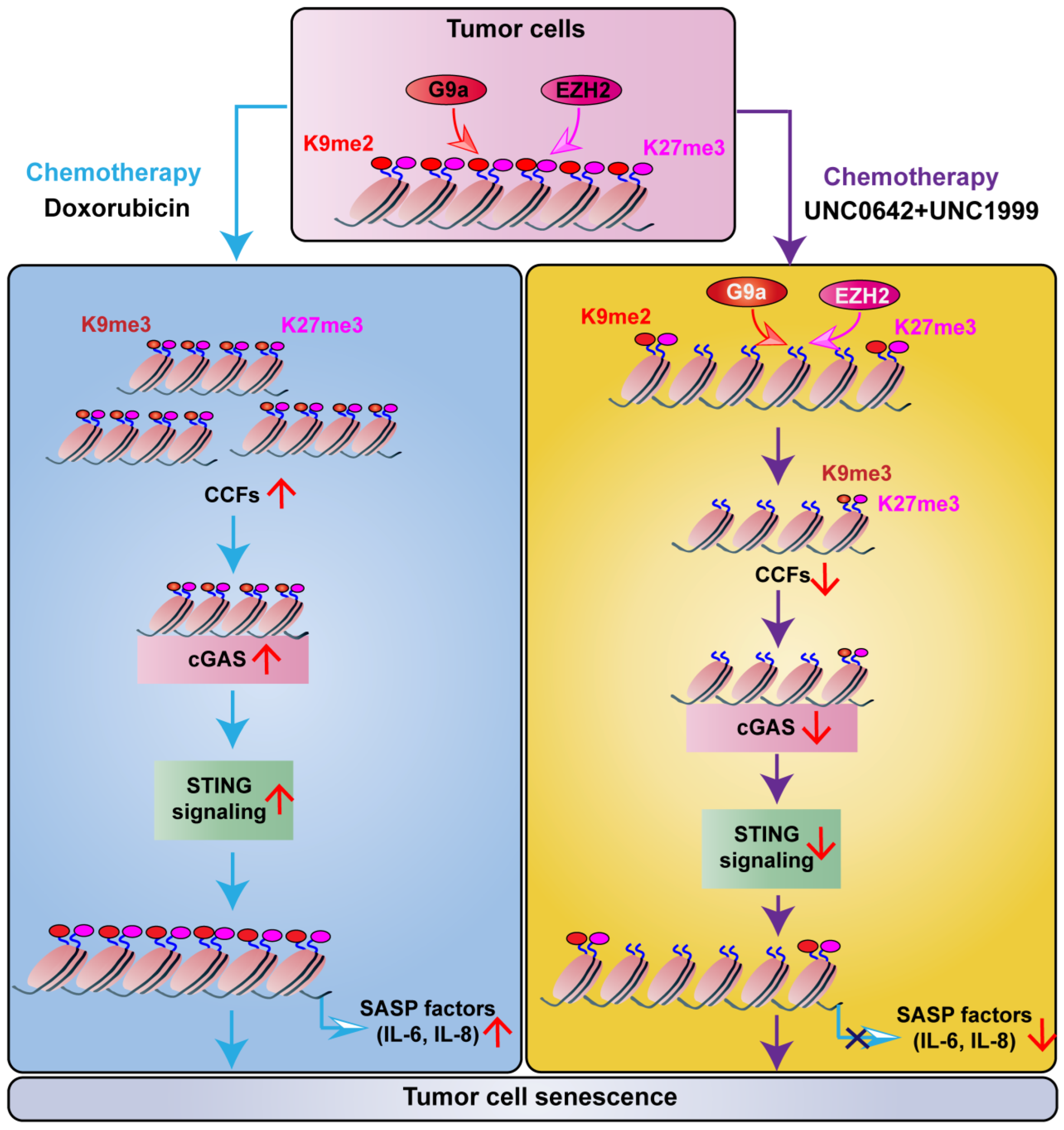 Ijms 23 03911 g005 550