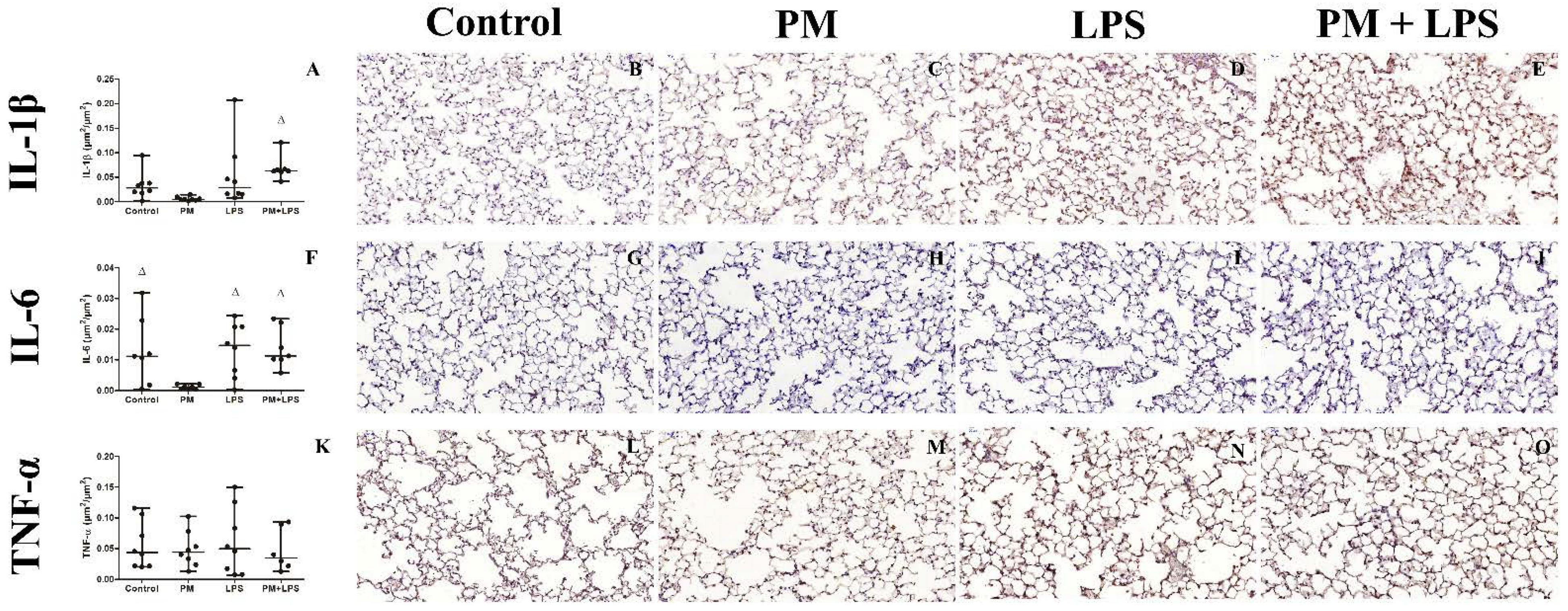 Ijms 23 03913 g004 550