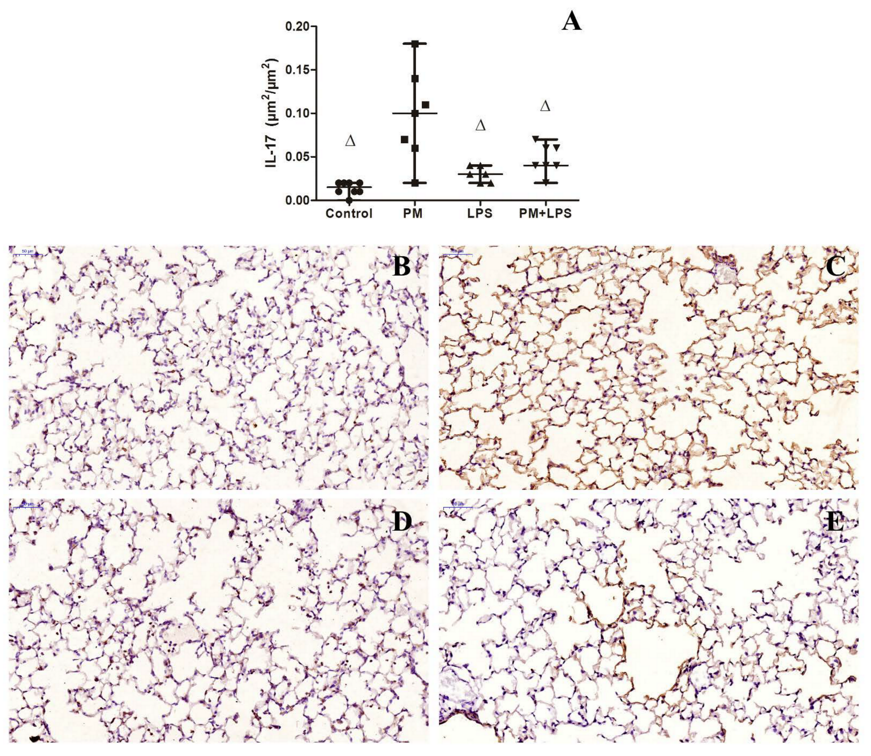 Ijms 23 03913 g006 550