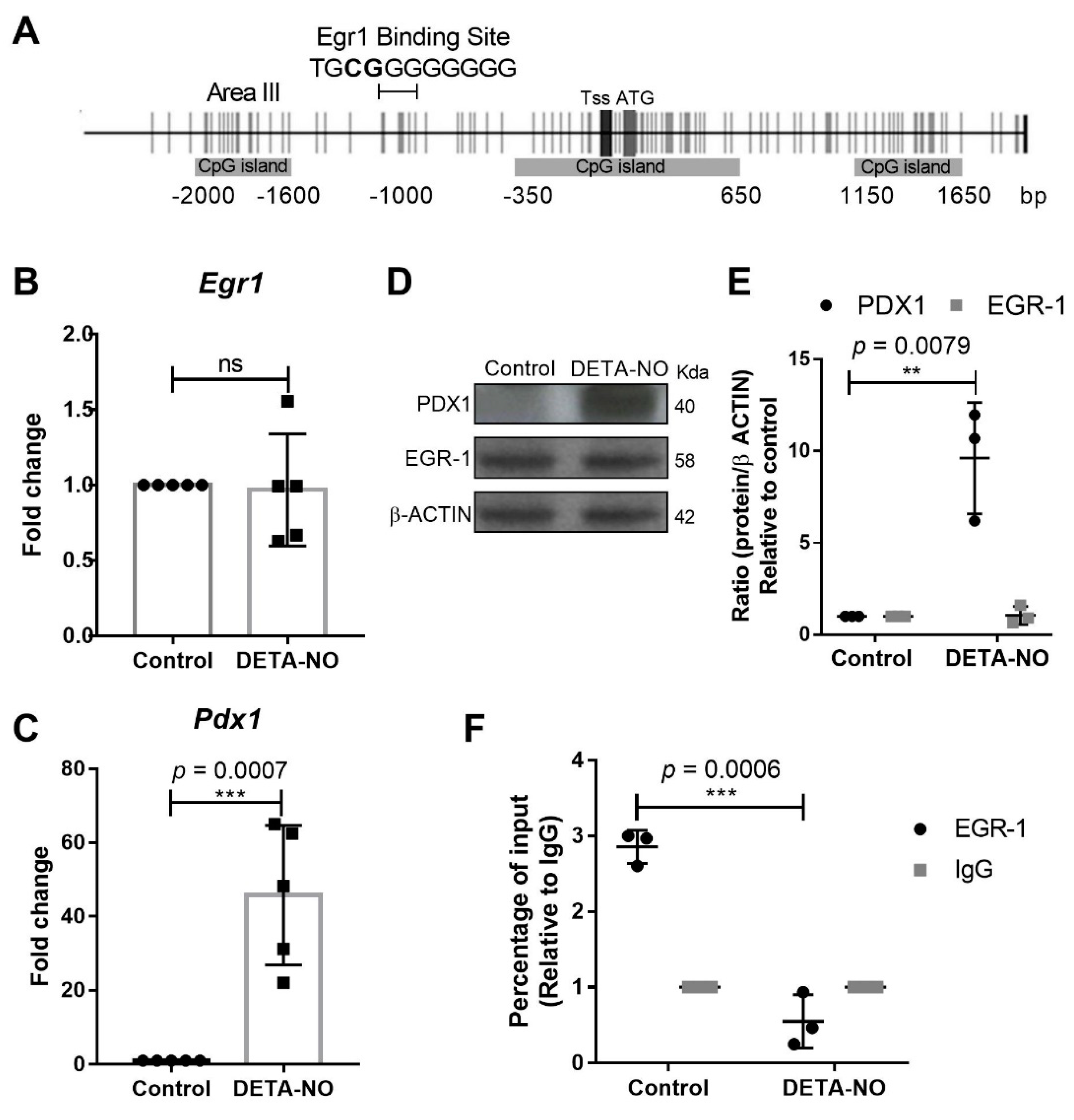 Ijms 23 03920 g001 Ijms 23 03920 g001