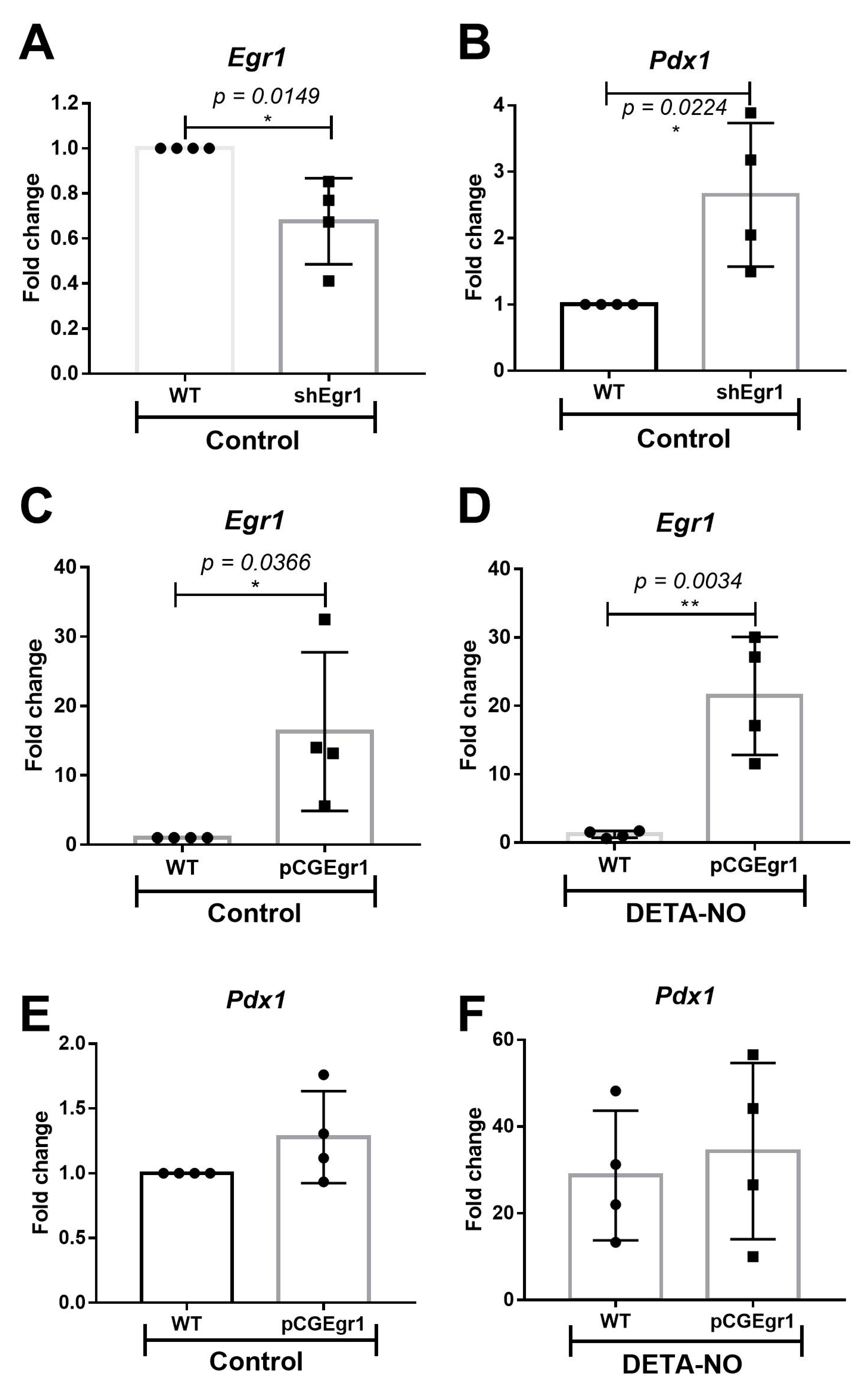 Ijms 23 03920 g002 Ijms 23 03920 g002