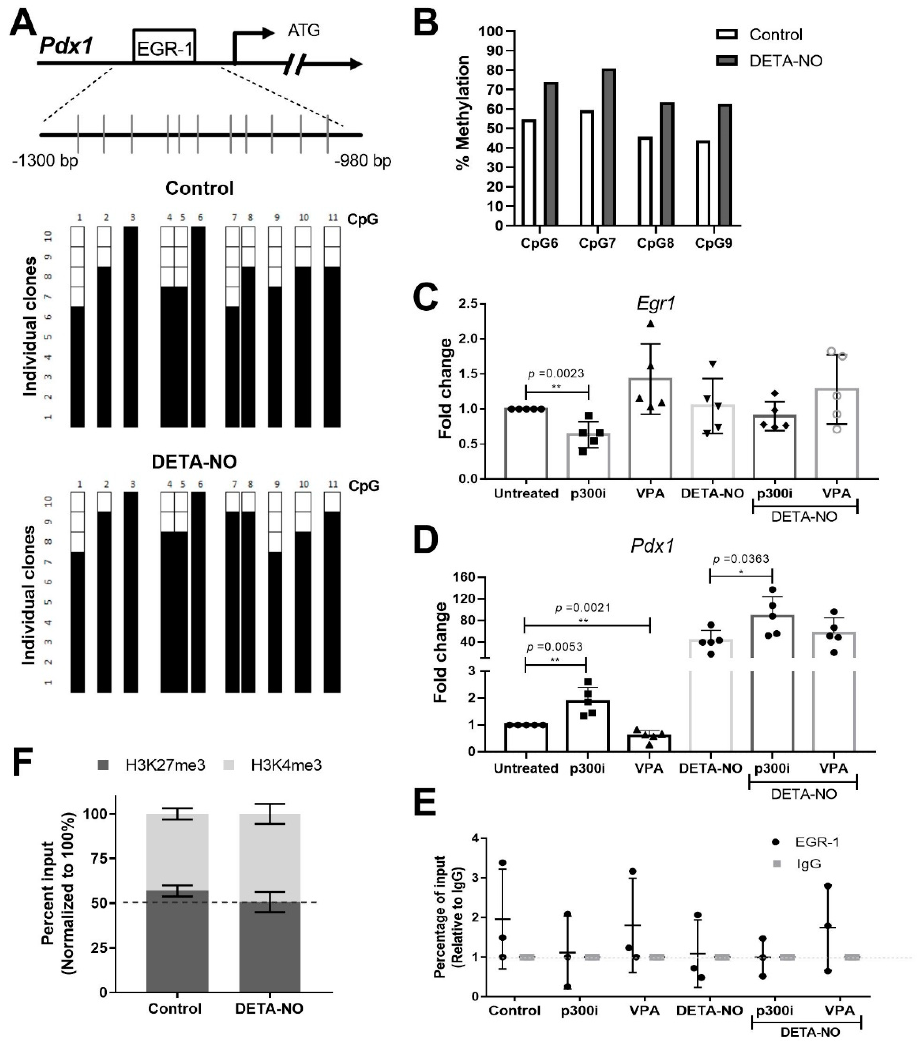Ijms 23 03920 g003 Ijms 23 03920 g003