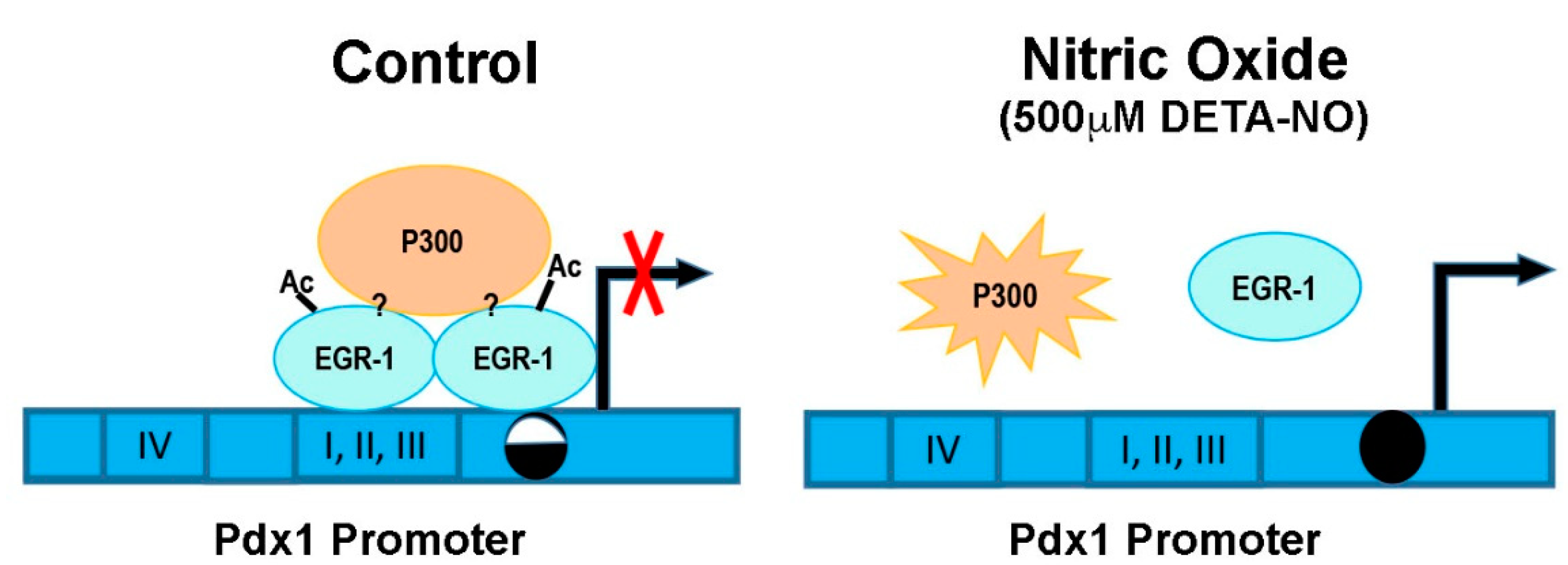 Ijms 23 03920 g004 Ijms 23 03920 g004
