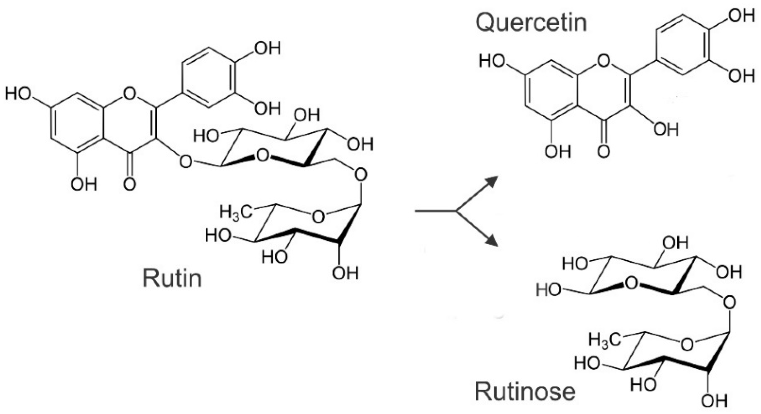 Ijms 23 03923 g005 Ijms 23 03923 g005