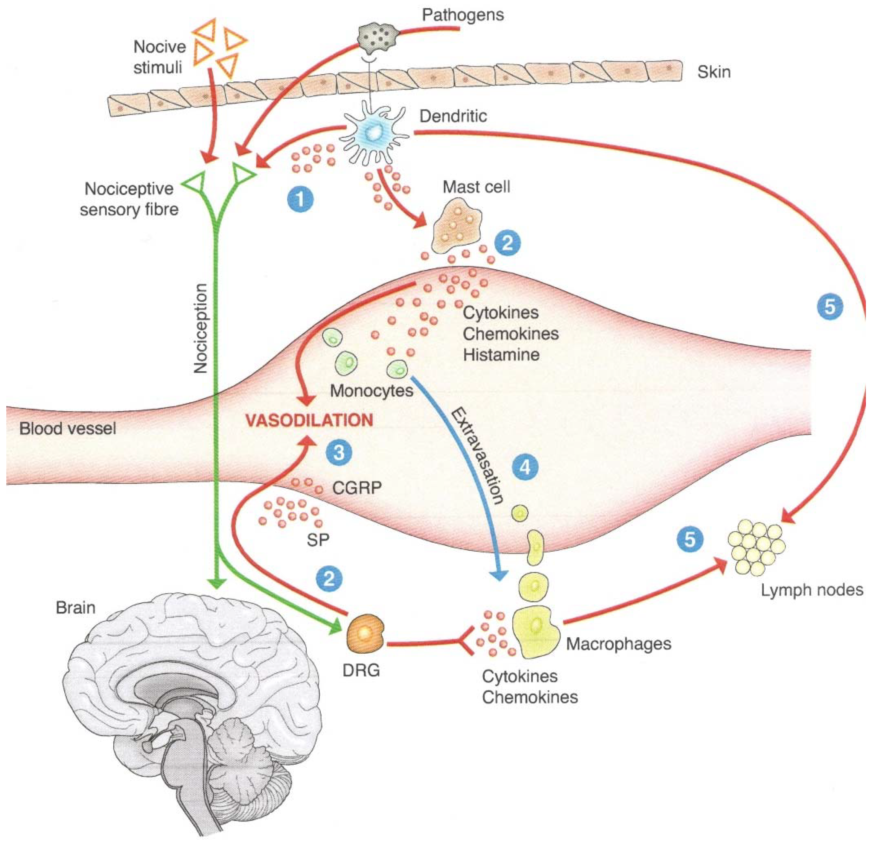 Ijms 23 03932 g002 550