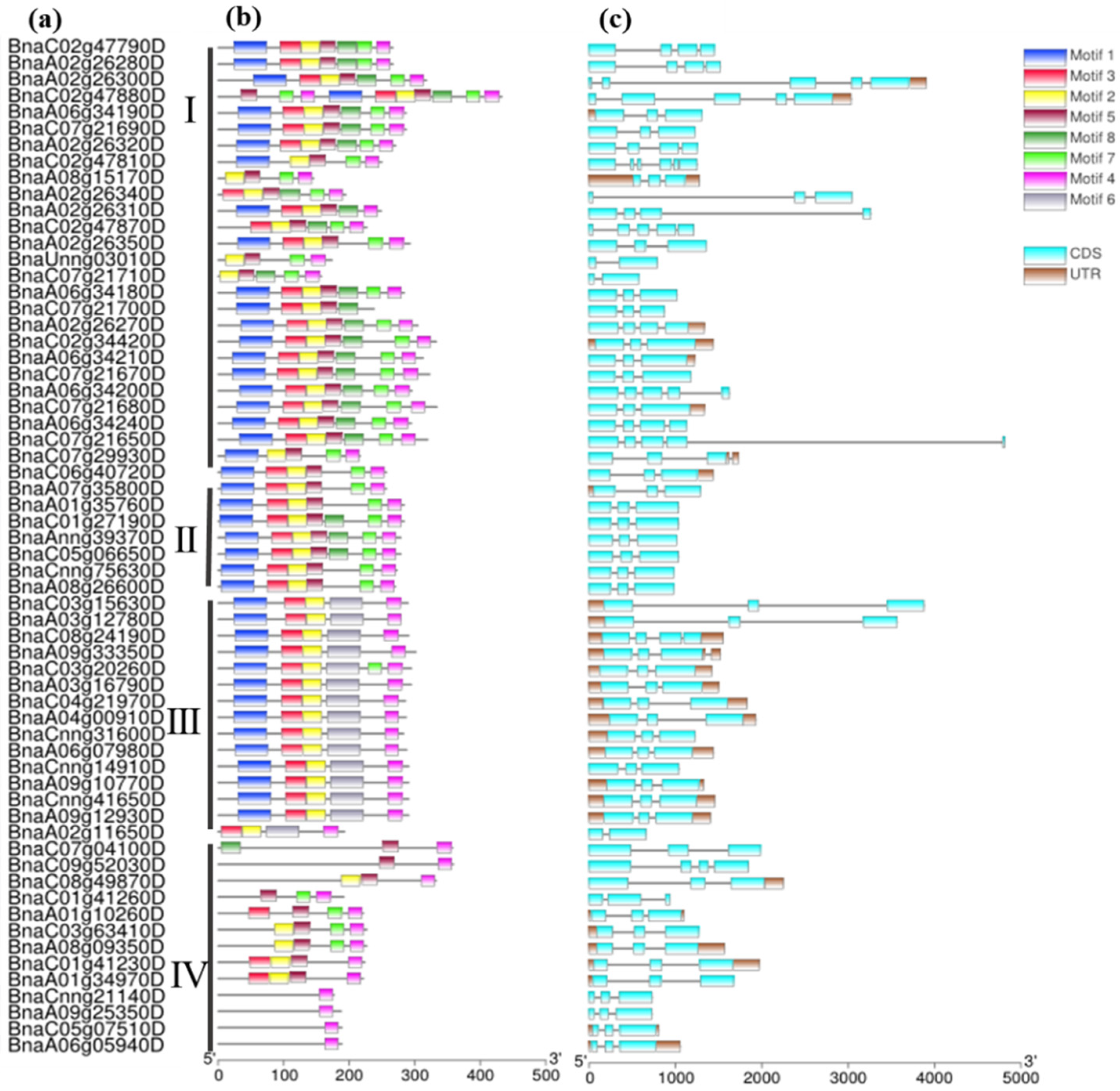 Ijms 23 03934 g002 550