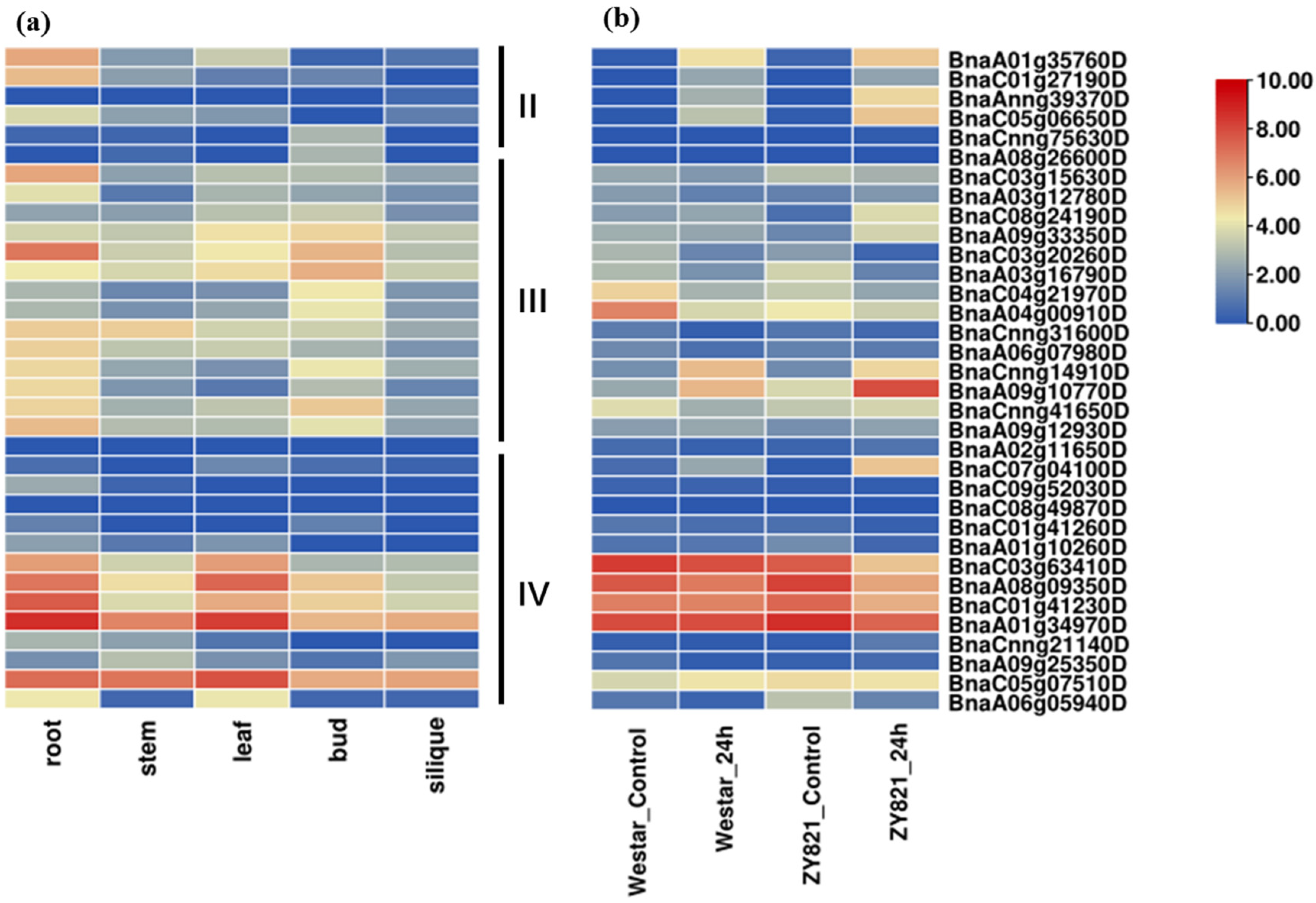 Ijms 23 03934 g003 550