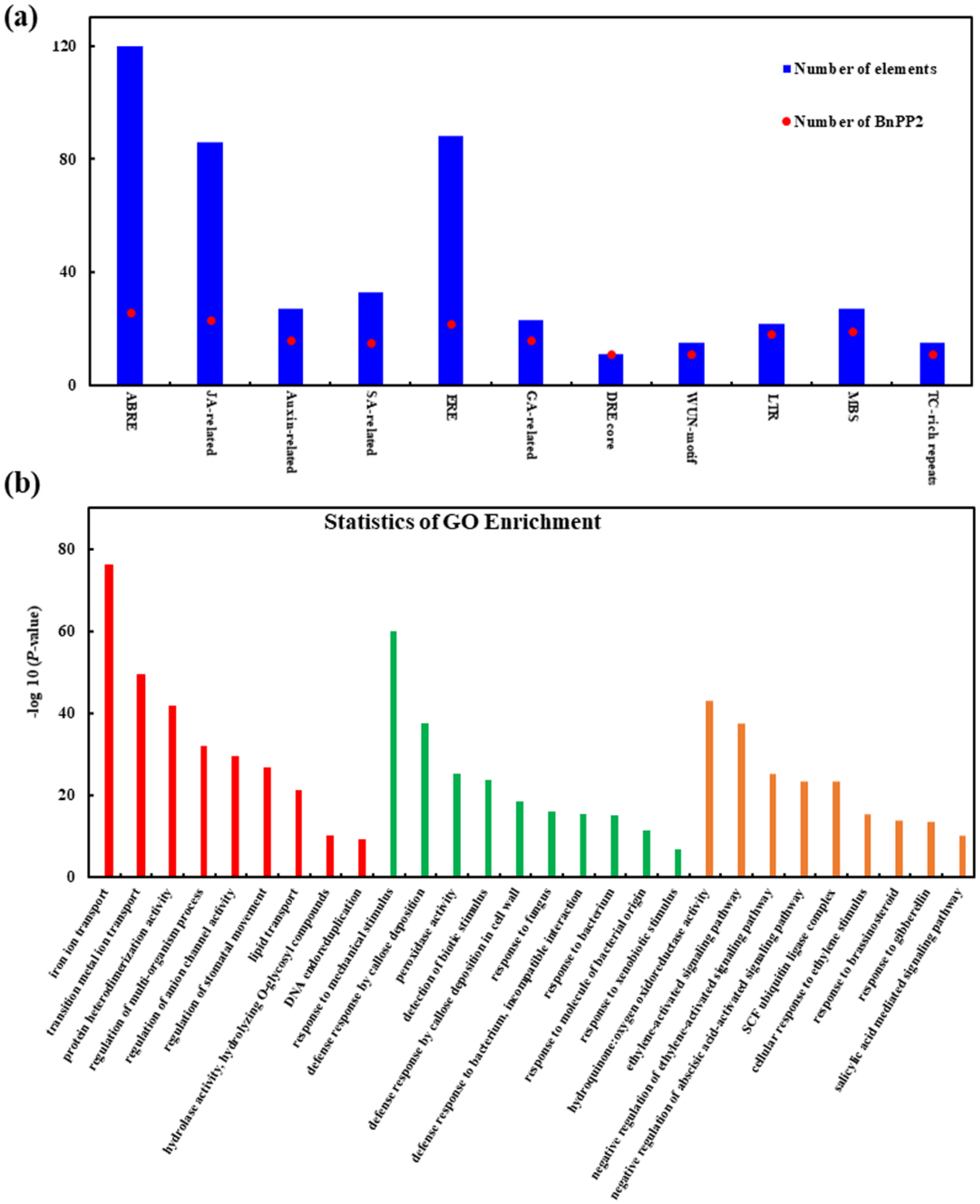 Ijms 23 03934 g005 550