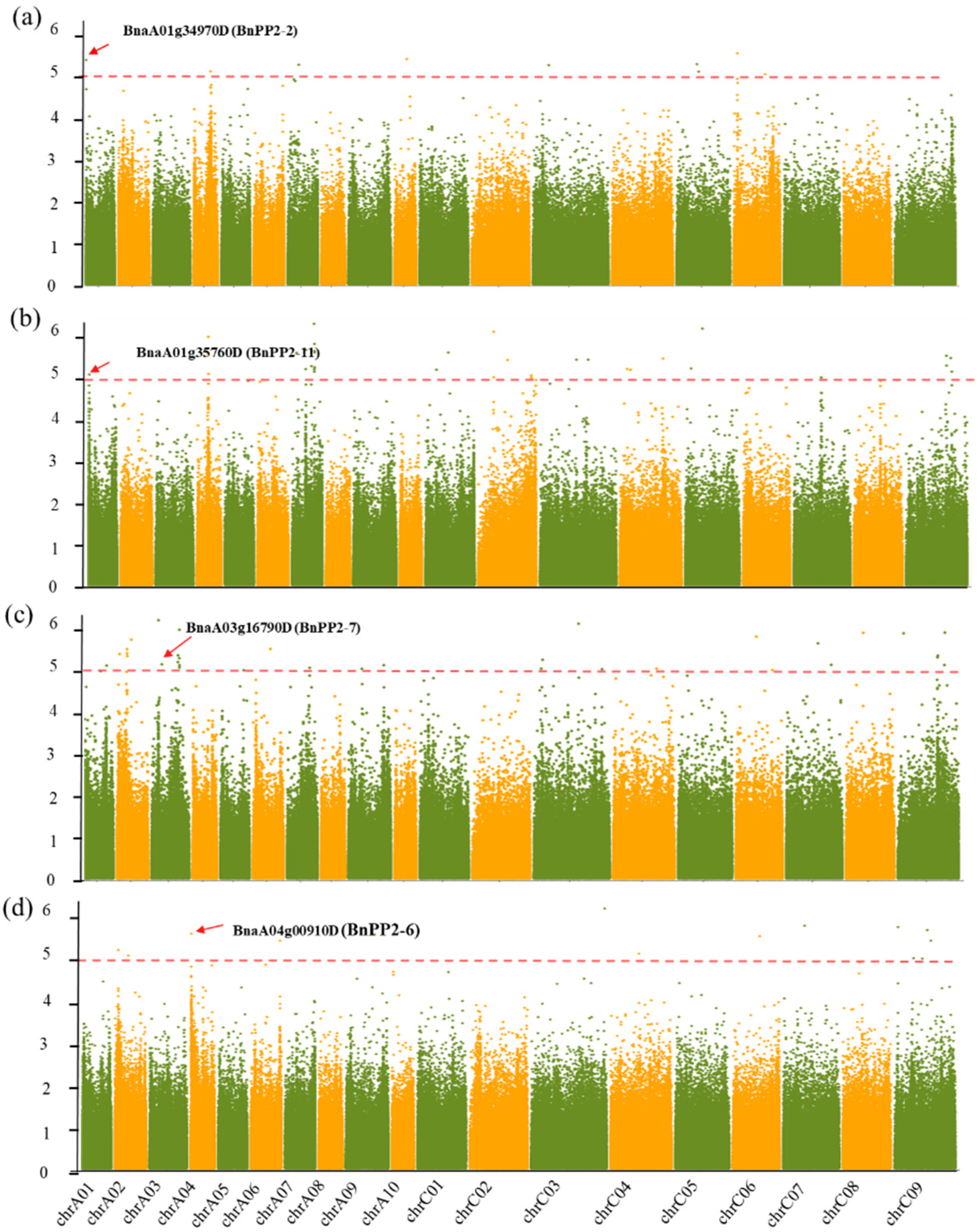 Ijms 23 03934 g006 550
