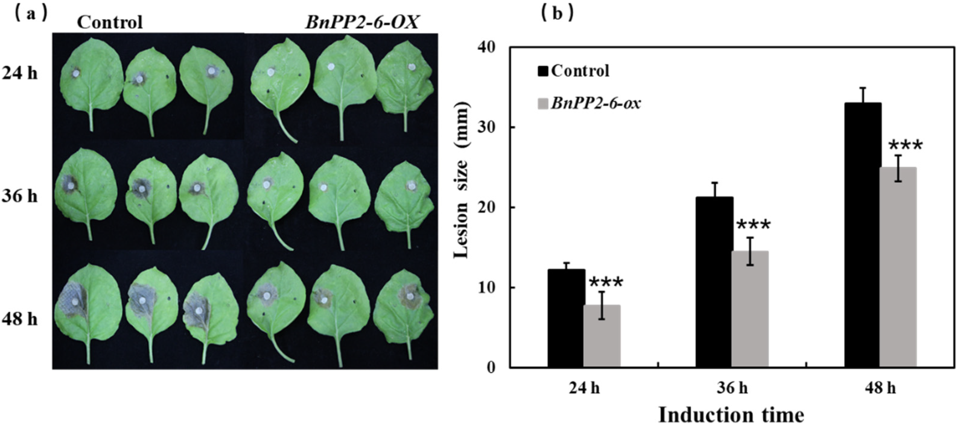 Ijms 23 03934 g007 550