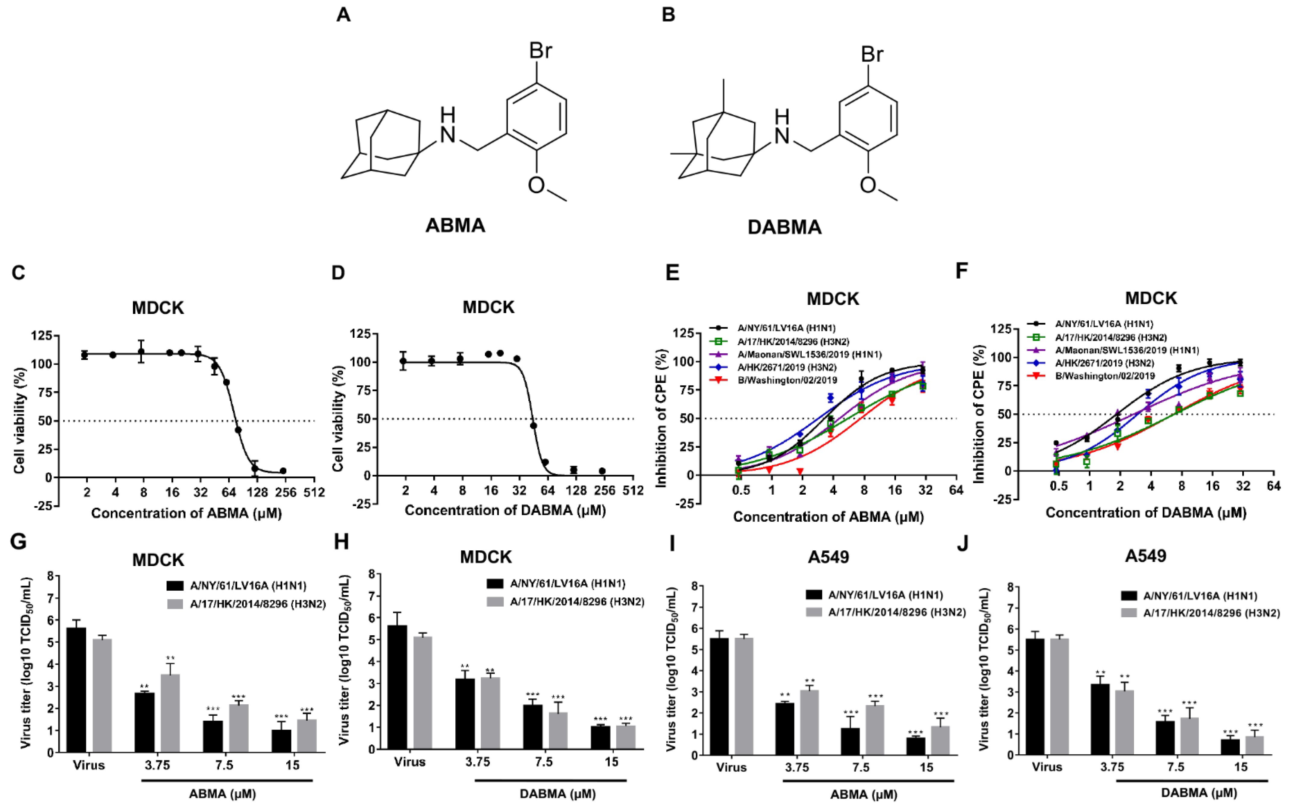 Ijms 23 03940 g001 Ijms 23 03940 g001