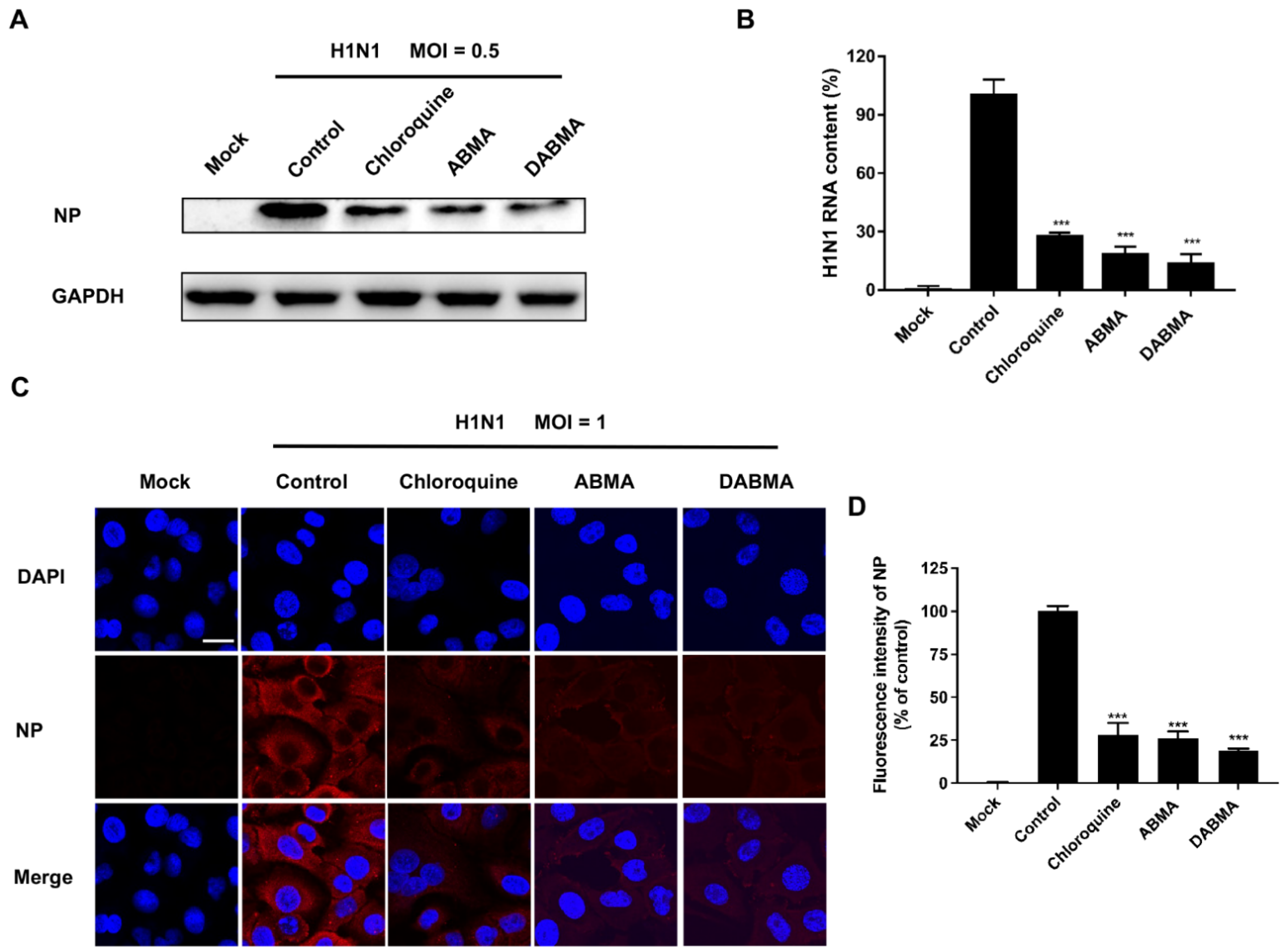 Ijms 23 03940 g002 Ijms 23 03940 g002