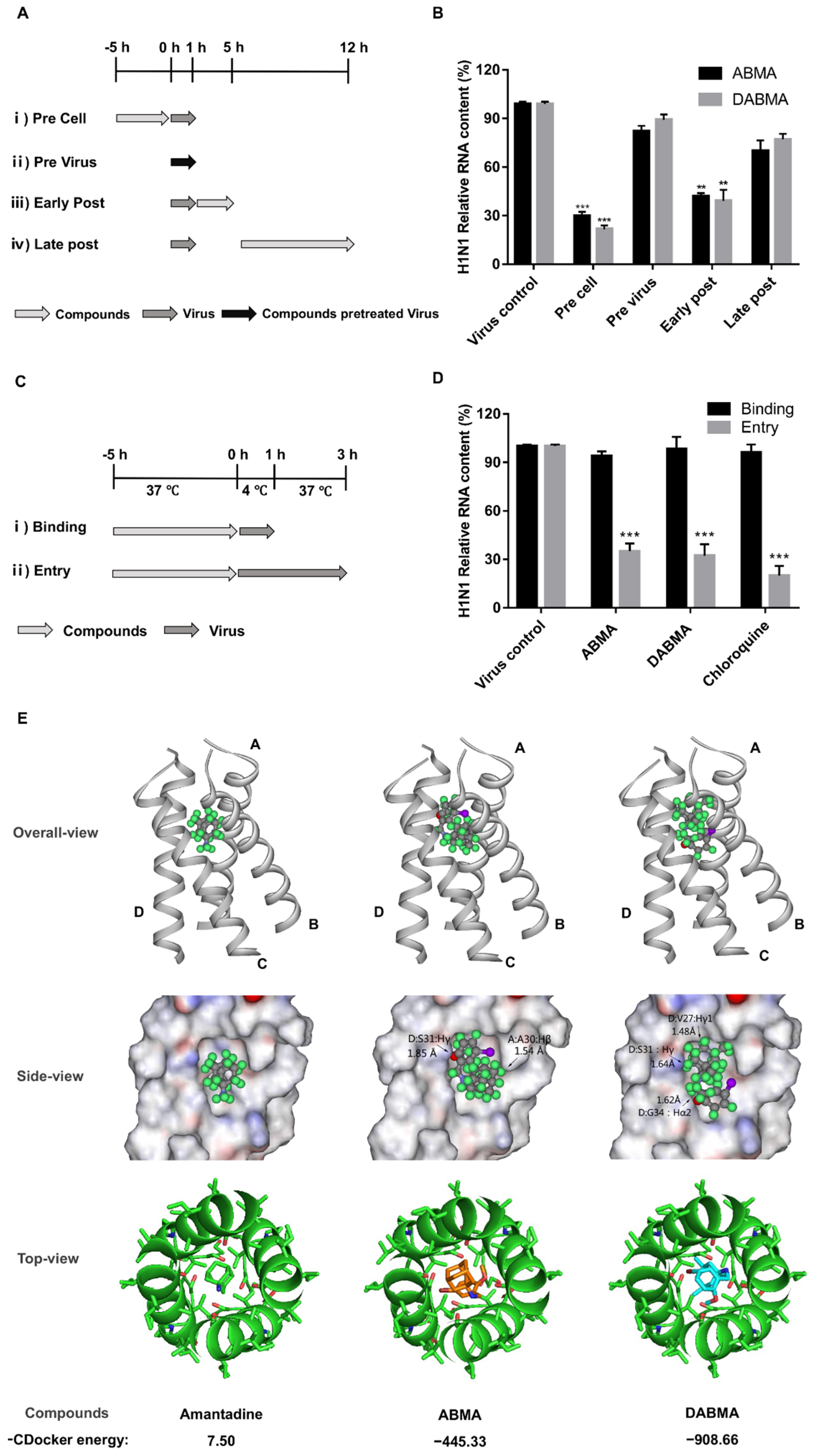 Ijms 23 03940 g003 Ijms 23 03940 g003