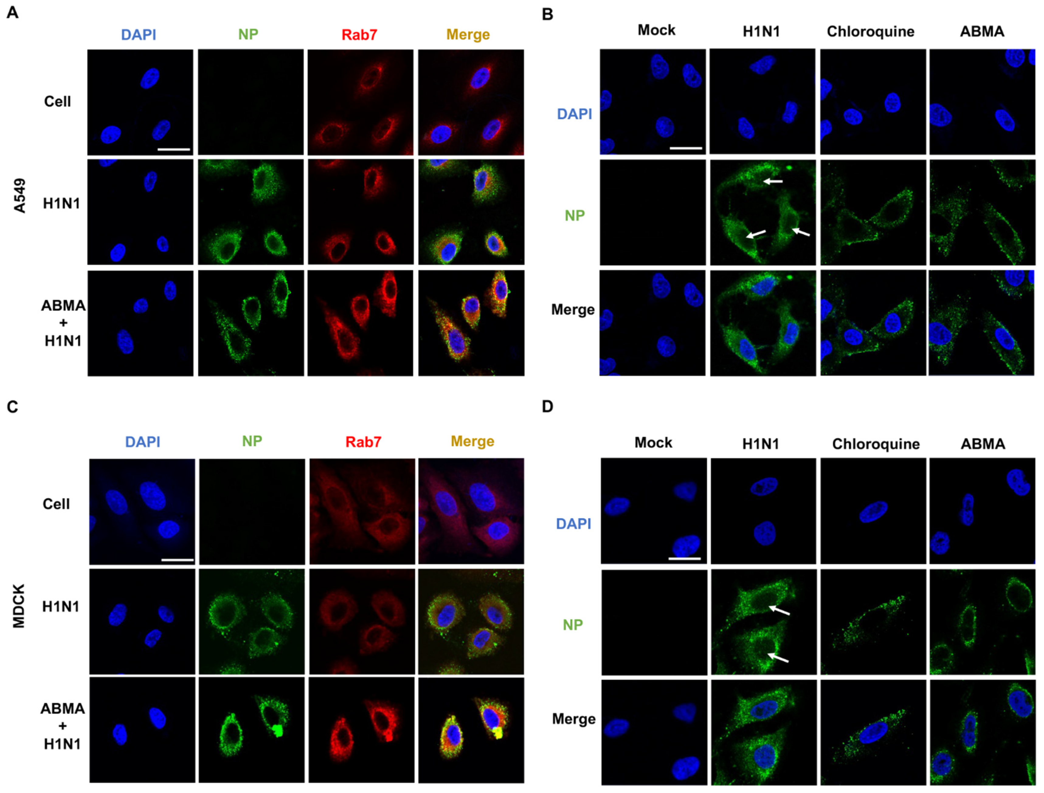 Ijms 23 03940 g004 Ijms 23 03940 g004
